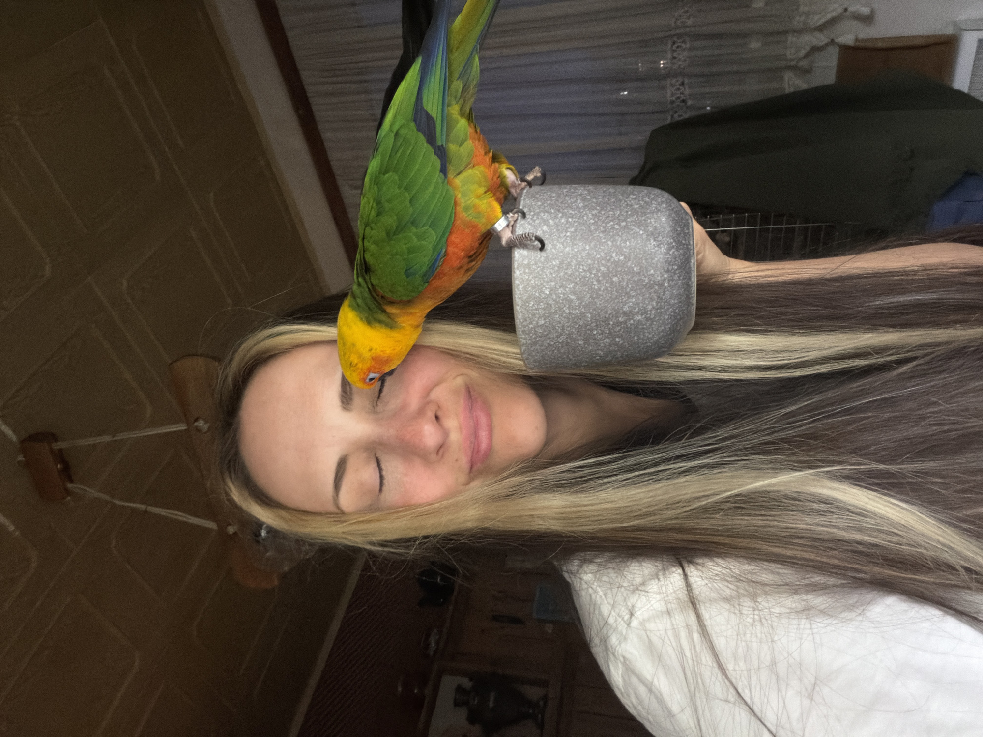An indoor, close-up shot captures a tender moment between a woman and a colorful parrot. The woman is positioned with her head slightly tilted, eyes closed in a gentle smile, conveying a sense of peace and affection. Her long, blonde hair, with darker roots, cascades down, framing her face.
A vibrant parrot, appearing to be a Conure species with striking green, orange, and yellow plumage, is perched atop a grey, speckled cylindrical object. This object, possibly a mug or a decorative candle holder, is held by or rests near the woman's head. The parrot's talons are gripping the object securely, and a silver band is visible on one of its legs. Its head is bowed towards the woman's forehead, appearing to nuzzle or interact closely with her, suggesting a strong bond.
The background hints at a home environment. To the left, a light-colored wooden wall or ceiling with visible panels is present, along with a partial view of a ceiling fan or light fixture. To the right, obscured elements include what might be a sheer white curtain and a darker fabric or blanket. The overall lighting is subdued, suggesting an indoor setting, possibly in the evening or a dimly lit room. There is no visible text in the image.