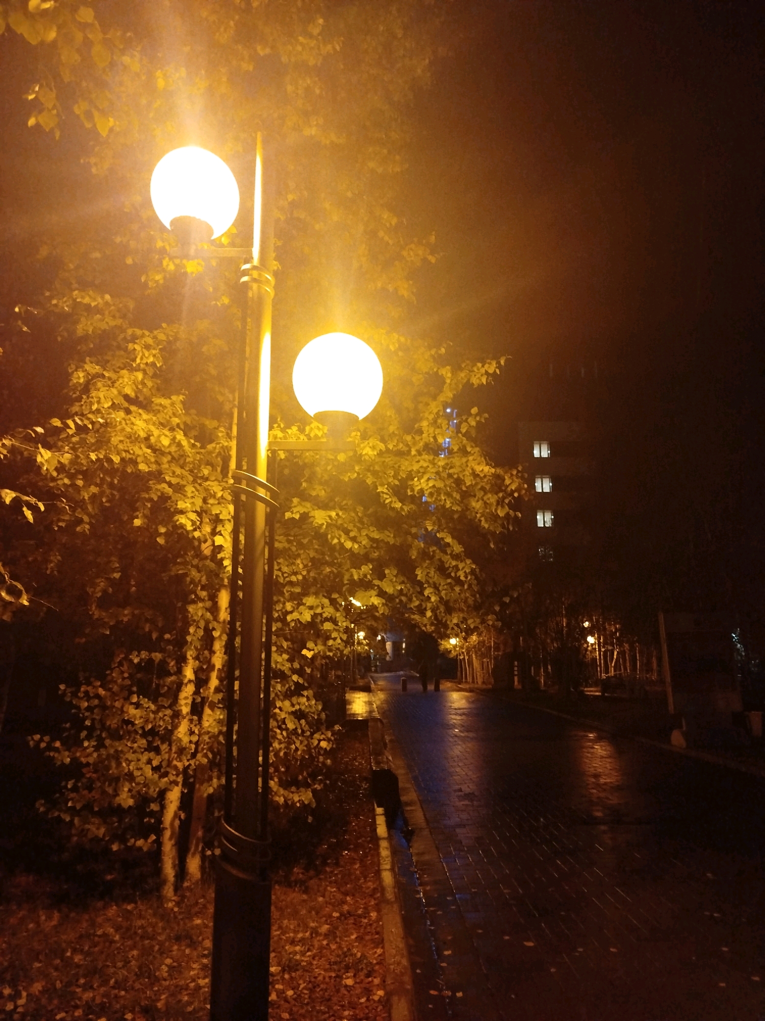 A nighttime street scene in Mirny, Russia, features two spherical streetlights casting a warm, yellow glow. The light illuminates the surrounding trees, their leaves a vibrant yellow, and a wet, brick-paved pathway. In the background, a multi-story building is visible with several illuminated windows. The ground is damp, suggesting recent rain, and fallen leaves are scattered across the pathway and the adjacent grassy area. Two figures are present, walking along the pathway, their forms silhouetted against the dim light. The overall atmosphere is tranquil and slightly eerie, common for a quiet evening in a northern city.