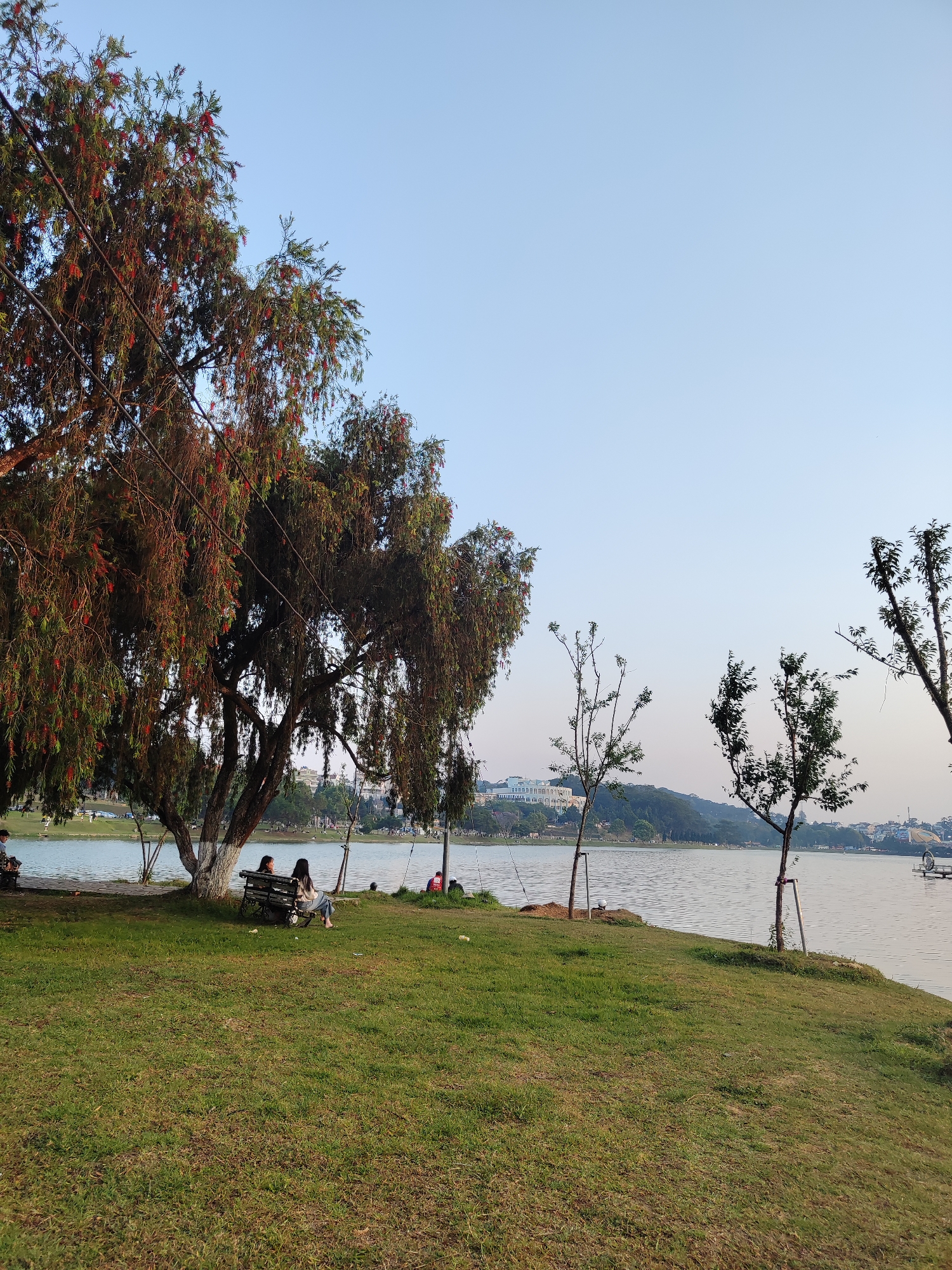 The scene depicts a park in Da Lat, Vietnam, on what appears to be an overcast day. A body of water is present, with a distant building or complex visible on the opposite shore. In the foreground, a grassy slope leads to the water's edge. Several trees are scattered along the shoreline, including one prominent weeping bottlebrush tree with red blooms on the left side of the frame. A park bench sits beneath the bottlebrush tree, occupied by two individuals. Other people are sitting nearby and on the bench to the left side of the frame. Several younger trees, supported by stakes, also border the water.