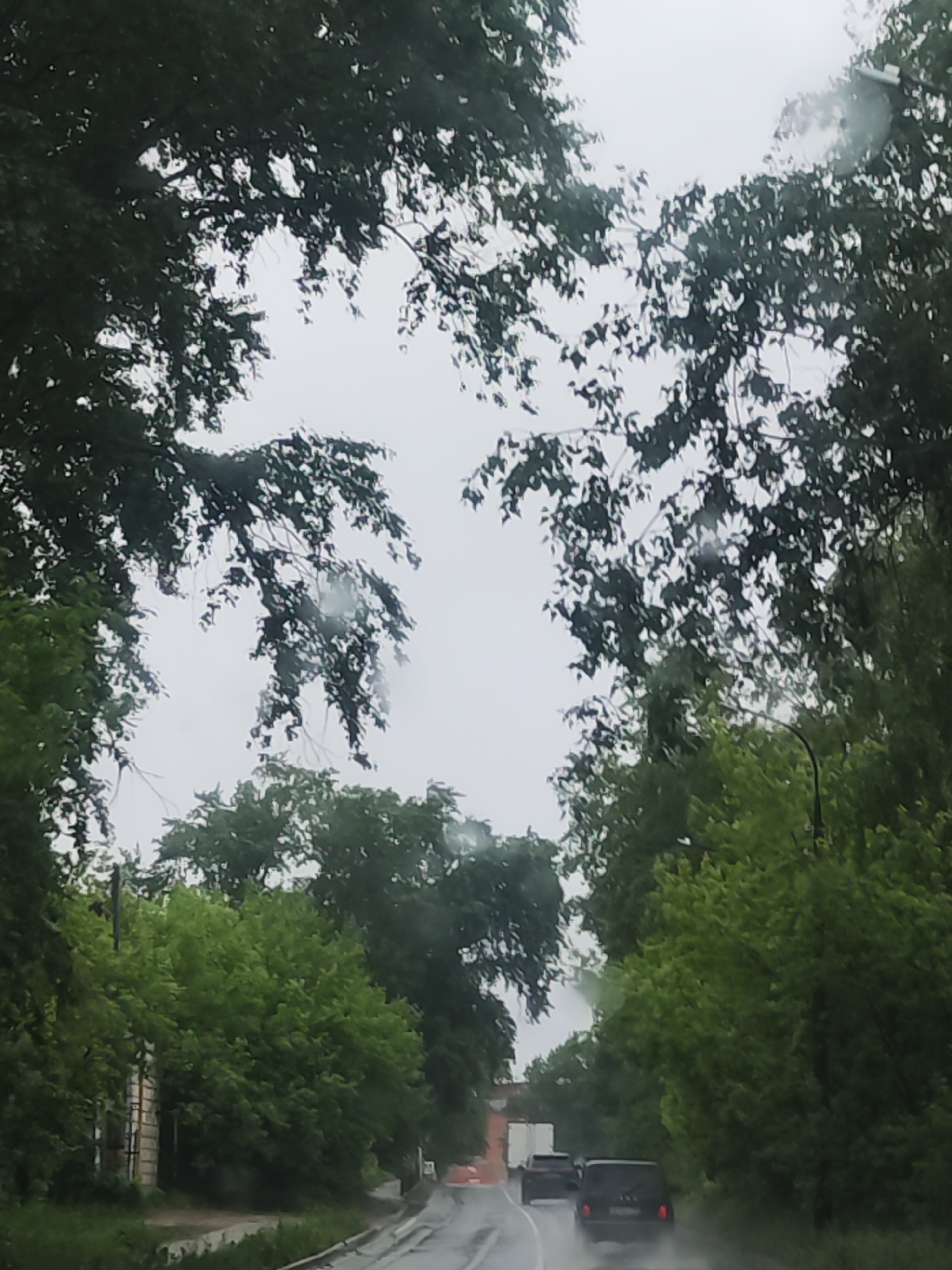 The image depicts a wet road scene on an overcast day, possibly during or shortly after rainfall. Trees with lush green foliage flank both sides of the road, their branches partially obscuring the sky. In the foreground, the wet road reflects the ambient light. Further down the road, two dark-colored vehicles are visible, presumably moving away from the camera. Orange road work barrels appear further ahead. The location is unknown, Unknown.