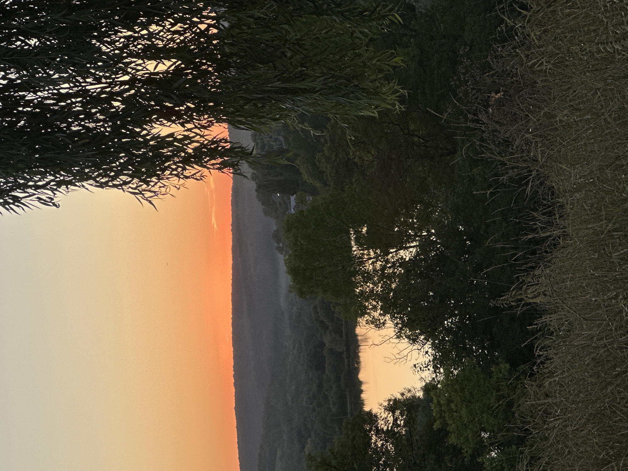 A tranquil landscape captures the twilight in Makiv, Ukraine. The sky, a gradient of soft orange and pale yellow, sets a serene backdrop for rolling, forested hills. A calm body of water, reflecting the warm hues of the sunset, lies nestled among the trees. In the foreground, tall, dry grasses and the dark silhouettes of trees partially obscure the view, adding depth and texture to the scene. A willow tree, its branches cascading down, frames the right side of the image. The overall impression is one of peaceful natural beauty at the close of day.