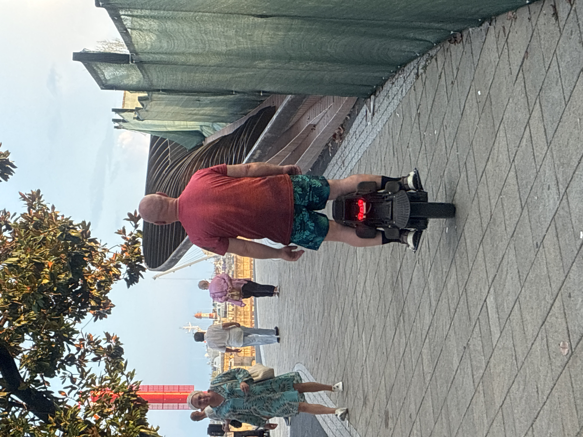 An eye-level, full shot shows a bald man in a red t-shirt and green patterned shorts riding a black electric unicycle down a paved walkway. The man is positioned in the center of the frame, moving away from the viewer. His unicycle has a red taillight. To the left of the walkway, a woman in a blue patterned dress and white sneakers walks away from the viewer, carrying a tan bag over her shoulder. Further left and behind her, two other figures are visible. To the right of the walkway is a green mesh barrier and a curved, multi-level structure. In the background, a body of water with boats and a lighthouse are visible. Overhead, a large tree with green and brown leaves extends from the upper left corner. The scene appears to be in a coastal urban environment, possibly the city of Sochi, Russia, given the architectural style of the background structures and the presence of boats and a lighthouse.