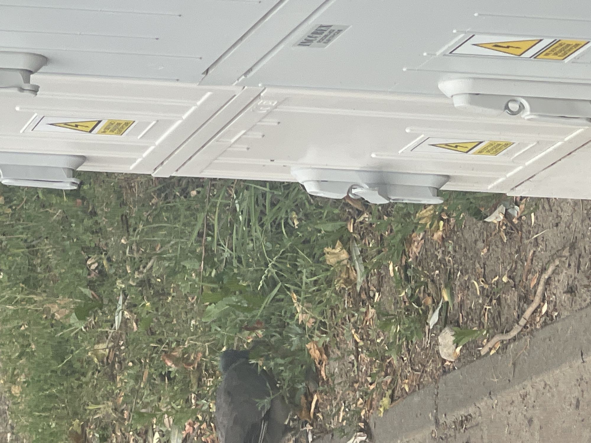 The image depicts an outdoor scene, likely on a sidewalk or roadside in Konstantynów Łódzki, Poland. In the foreground, a dark gray bird, possibly a crow or raven, is foraging in patchy green grass and fallen leaves. To the right, a white electrical enclosure or cabinet is partially visible. This enclosure has multiple latches and features several yellow warning signs with a black lightning bolt symbol, indicating high voltage. The enclosure is segmented, suggesting it is a modular unit. The ground is a mix of concrete curb and a natural, unkempt ground cover with vegetation and debris. The lighting suggests daylight conditions.