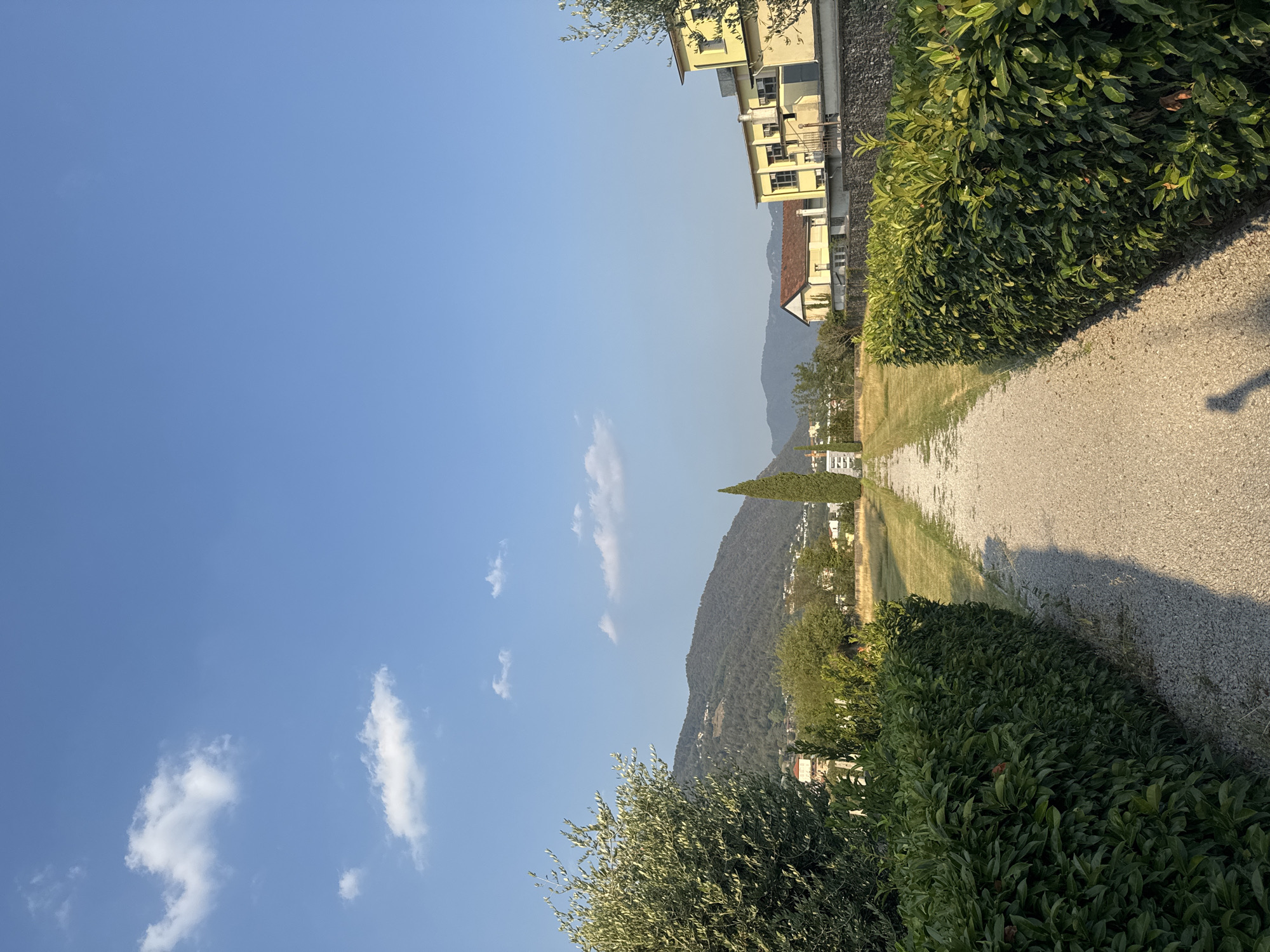 This image depicts a sun-drenched path leading through a manicured garden area in Balerna, Switzerland. The path, made of gravel, is bordered by dense, green hedges on either side. In the distance, a tall, slender cypress tree stands prominently, framing a view of rolling hills and mountains. The hills are covered in trees and dotted with buildings, suggesting a semi-rural or suburban setting. Several yellow and white buildings are visible on the right side of the image, featuring tiled roofs and windows. The sky is a clear, vibrant blue with a few wispy white clouds. An olive tree with green foliage is present on the left side of the frame. The overall impression is one of a peaceful, well-maintained outdoor space.