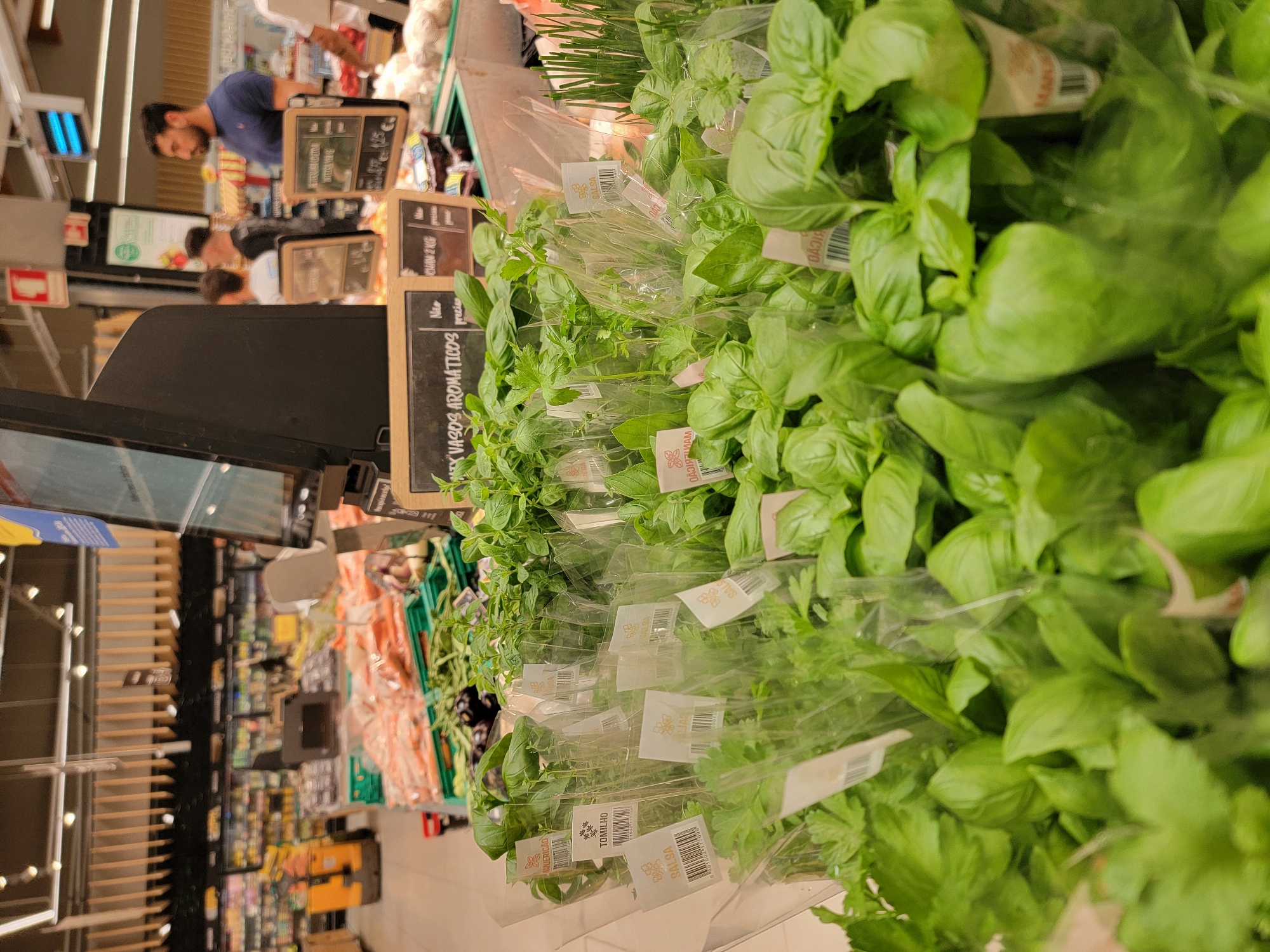 The image captures a close-up view of a display of fresh herbs, primarily basil and parsley, inside a supermarket in Faro, Portugal. The herbs are neatly packaged in clear plastic sleeves, each with a white label containing text and a barcode. Some of the visible labels include "SALSA," "TOMILHO," and "MANERACAO" in Portuguese, indicating different types of herbs. In the background, shelves stocked with produce and other grocery items are visible, along with a customer service counter and shopping carts. A man in a blue t-shirt is standing at the counter, looking to the right. The overall scene suggests a typical supermarket environment with an emphasis on fresh produce.