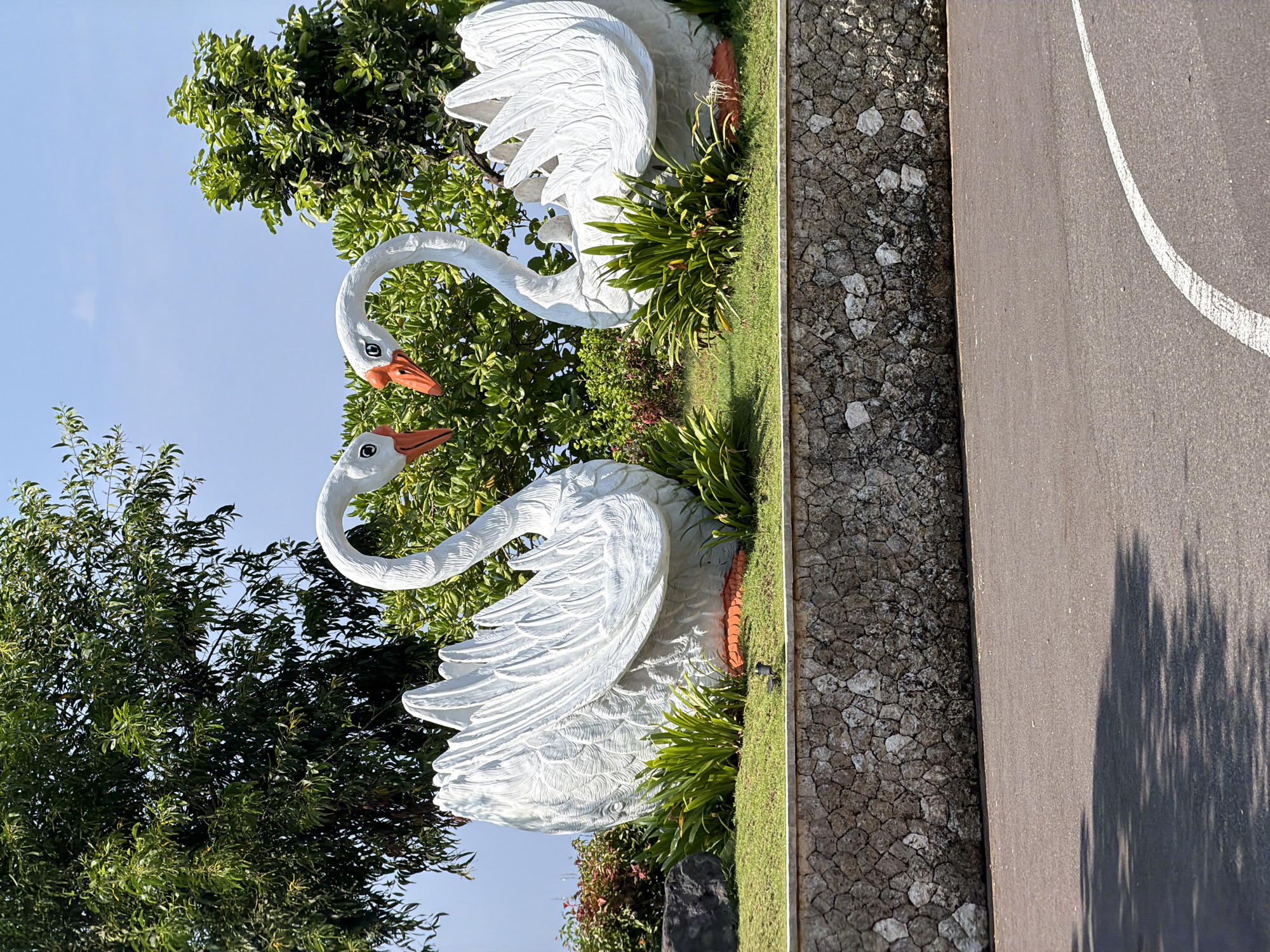 A static outdoor scene in Ungasan, Indonesia, displays two large white swan statues positioned on a manicured grass lawn situated above a stone retaining wall. The statues face each other, their long, curved necks meeting to form a heart shape. Each swan features an orange beak, black eyes with white pupils, and textured body detail simulating feathers. Behind and around the swans are various green trees and shrubs, with one dark grey boulder positioned near the left swan. Below the retaining wall, an asphalt surface extends into the foreground, marked by a white painted curvilinear line on the right side and a multi-branched shadow cast on the left. The sky overhead is clear and blue. No human figures are present.