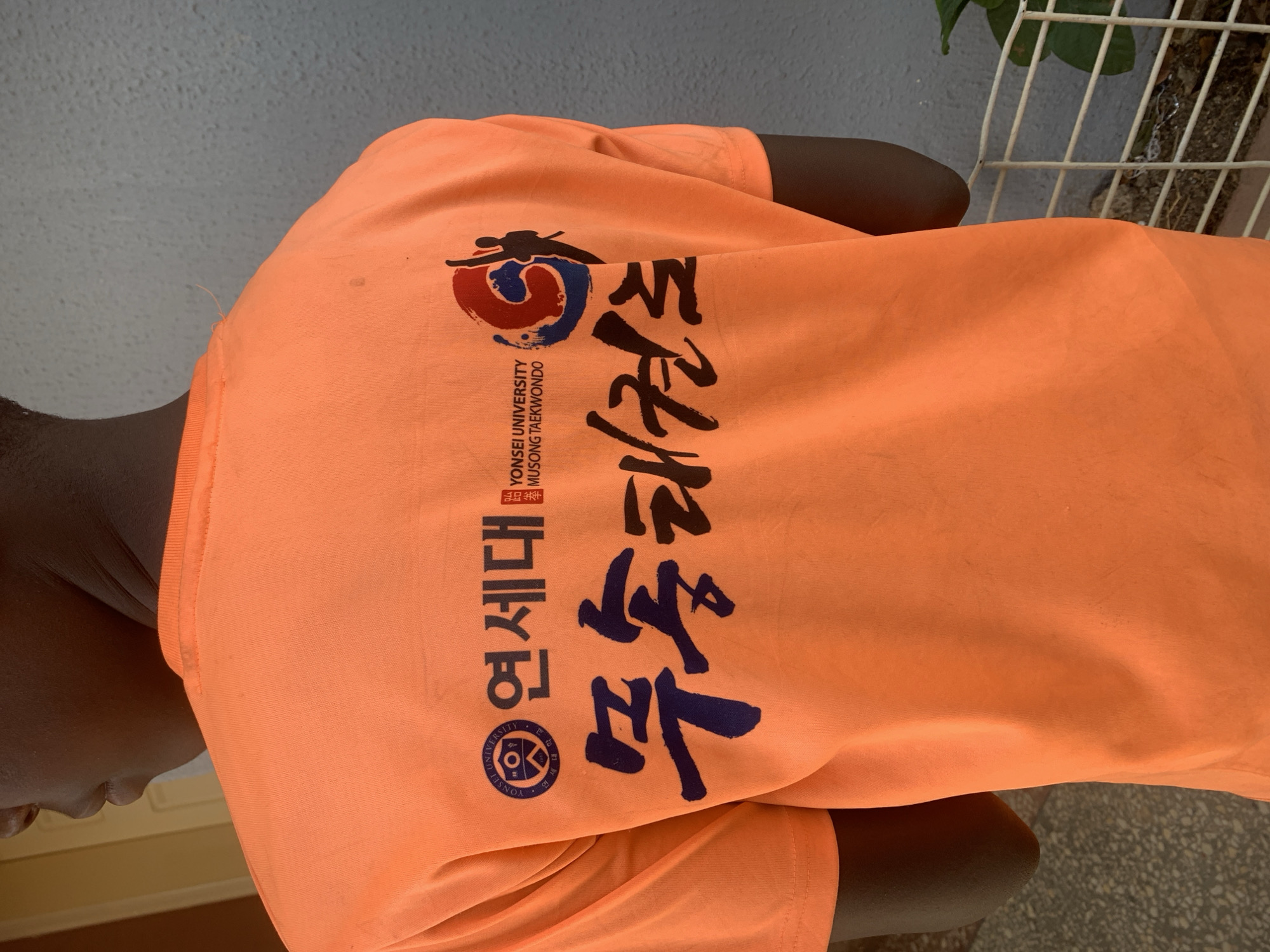 The image shows the back of a person wearing an orange t-shirt. The shirt has text and symbols related to Yonsei University Musong Taekwondo. There's a wall in the background and a white, metal, slatted object to the right. The location is not discernable as being within the city of Jos, Nigeria, or anywhere else.