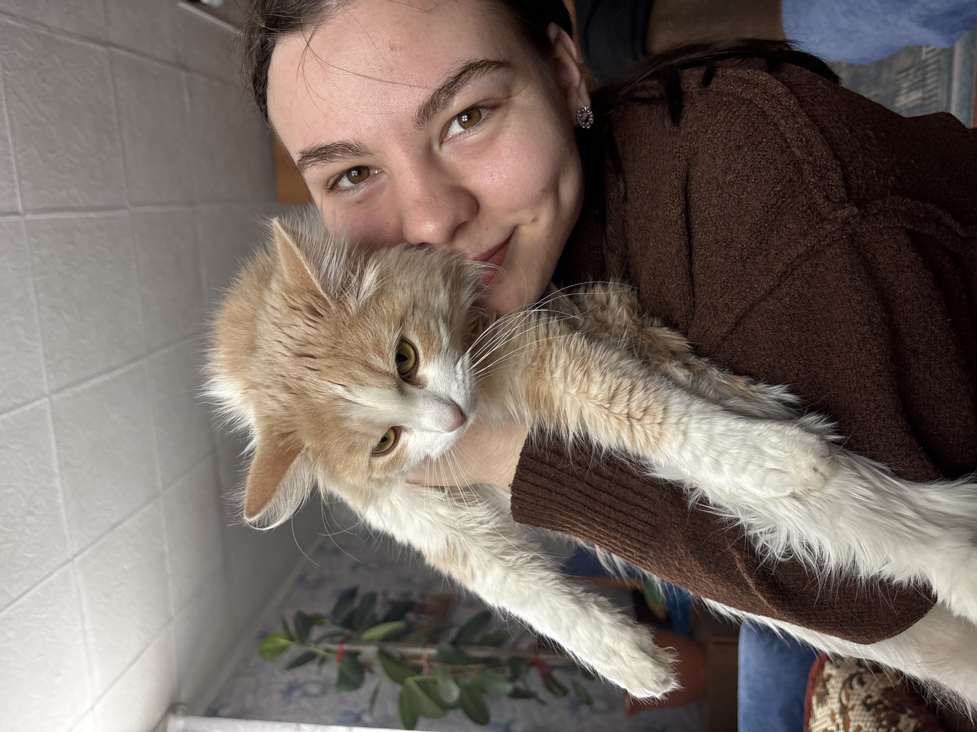 A young woman with brown hair pulled back and wearing a brown sweater is holding a long-haired cat with predominantly white fur and patches of orange tabby fur. The woman has light skin, brown eyes, and a slight smile. The cat appears to be looking down and slightly to the left. The background features a white tiled wall and a glimpse of a plant in a pot. The location is potentially Zasechnyi, Russia, but there's no direct visual evidence within the image to confirm the location.
