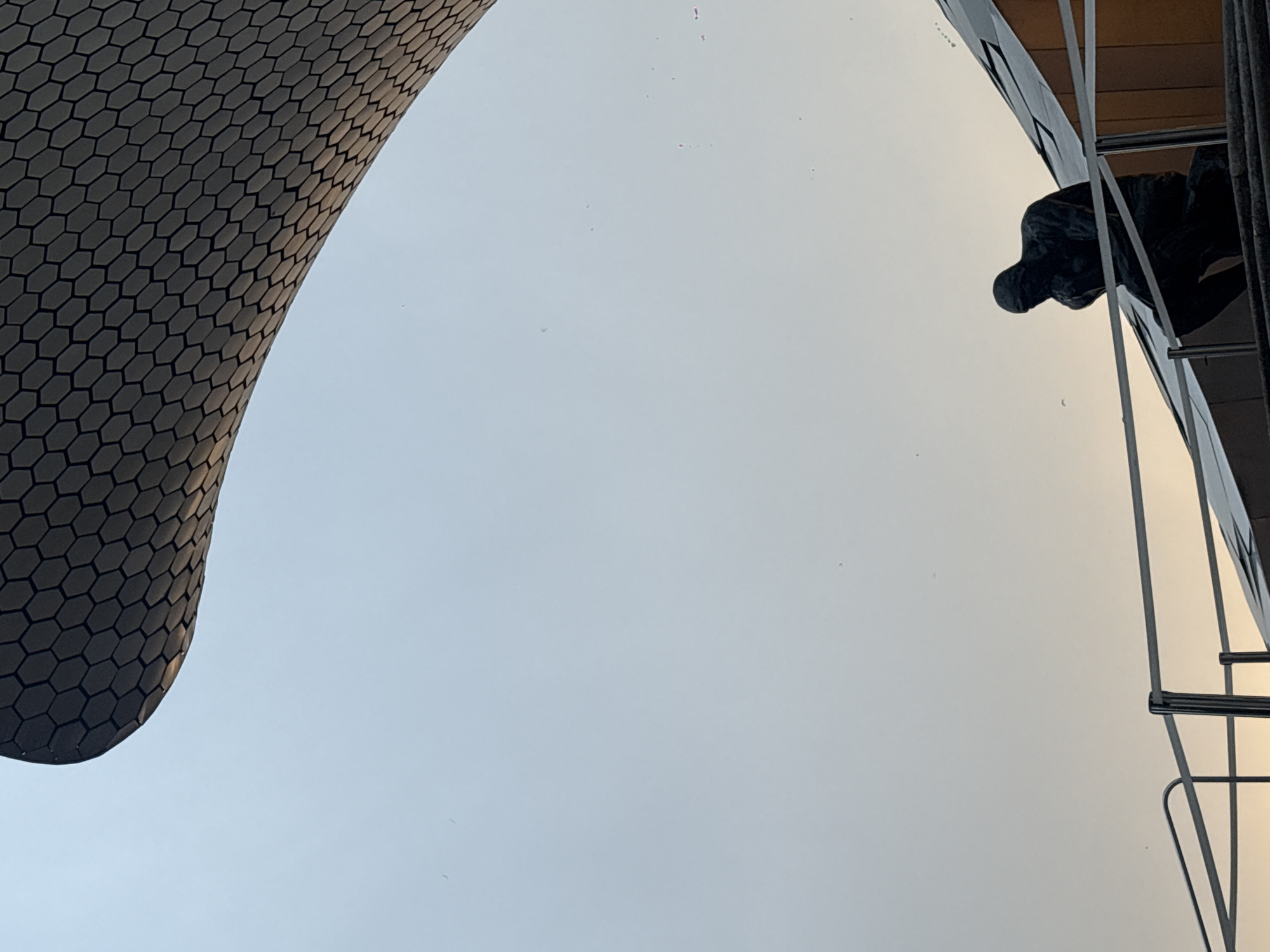 This is an upward-angled outdoor shot taken in Mexico City, Mexico, featuring architectural elements against a mostly overcast sky.
On the left, a section of a building with a honeycomb-like exterior structure, constructed of gray-toned hexagonal shapes, is visible. The building's curved surface adds a dynamic quality.
To the right, what seems to be a gargoyle-like figure is perched on another building. This figure appears dark and is attached to a lighter-colored structural component, likely the building's facade. Metal railings and vertical supports are also visible, indicating a balcony or similar architectural feature.
The sky occupies the majority of the frame, providing a muted backdrop to the contrasting textures and forms of the buildings. The overall composition emphasizes the interplay between the old and the new in Mexico City's urban landscape.