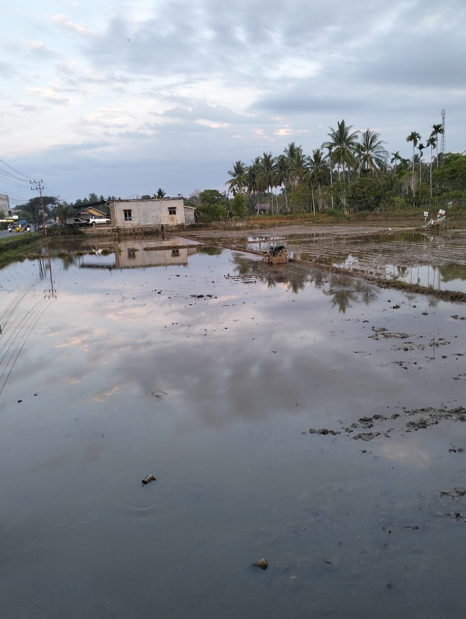 This image captures a flooded rice field in Blangmetimu, Indonesia, at dusk. The sky is filled with a mix of gray and pale blue clouds, with faint reflections of the sky and surrounding palm trees visible on the water's surface. In the background, a simple, light-colored building with two windows and a flat roof stands adjacent to a road. Several vehicles, including a white car and a scooter, are parked near the building. A line of palm trees and other greenery forms a backdrop to the scene. In the foreground, the water is murky, with visible patches of mud and debris. A small, brown mechanical tiller is partially submerged in the water to the left of the frame. Several pieces of debris are scattered across the water's surface.