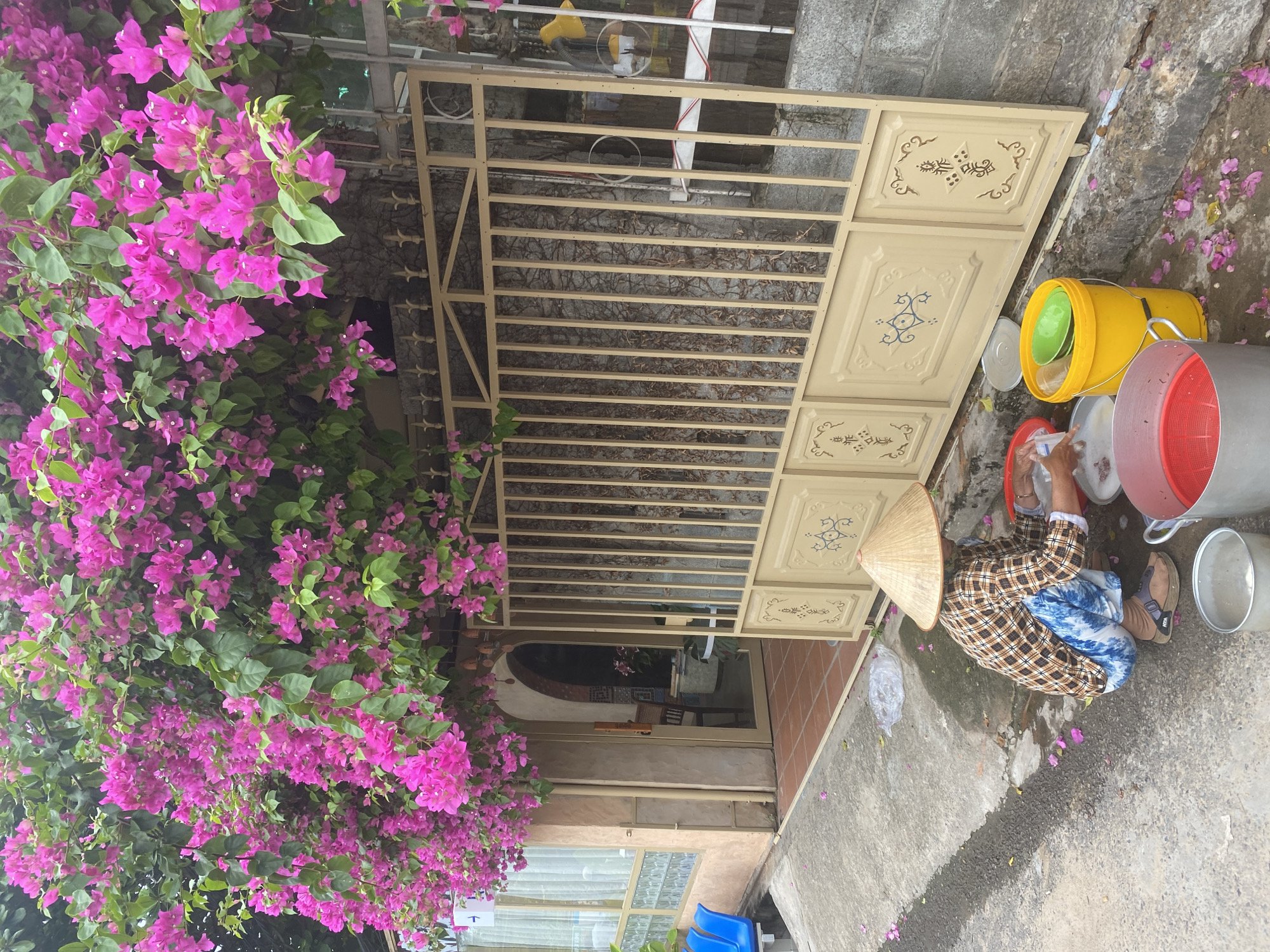A person wearing a conical hat is squatting on a sidewalk in Mũi Né, Vietnam, washing something in a red bowl. The person is dressed in a plaid shirt and blue patterned pants, with brown sandals. To their right are several plastic containers, including a yellow bucket filled with green bowls, a red colander inside a large metal pot, and another smaller metal pot. The scene is set against a backdrop of a beige metal gate with decorative panels, a building entrance with an arched doorway, and a wall covered in vines. Overhead, a dense bougainvillea tree with vibrant pink flowers cascades down, with scattered pink petals on the ground. The sidewalk is wet, suggesting recent rain or washing activity.