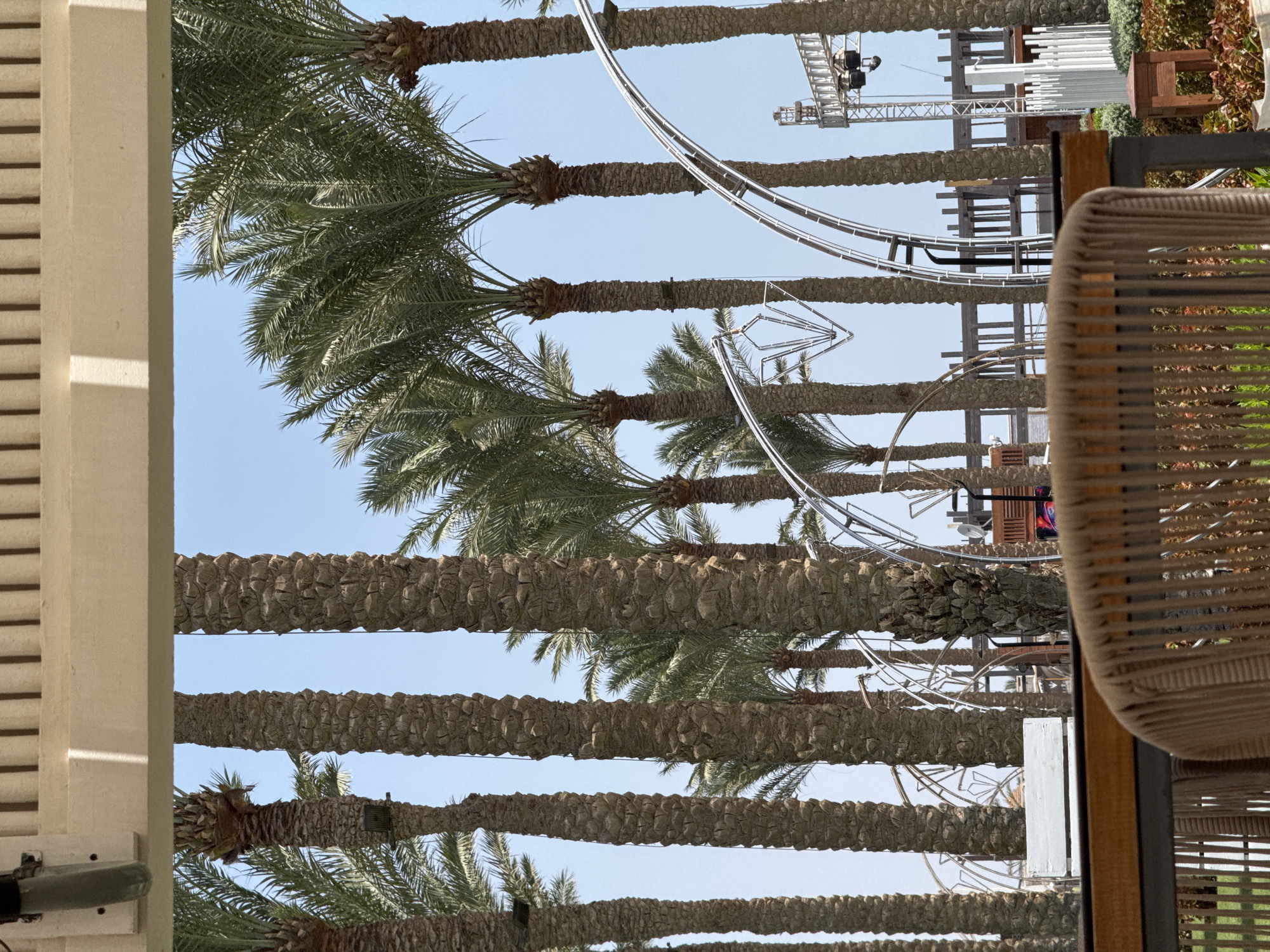 The image depicts an outdoor scene framed by a beige-colored overhang, with multiple tall palm trees dominating the view against a clear blue sky. In the foreground, a portion of a rattan chair and a table are visible. The middle ground features several rows of palm trees, their trunks textured and rough. Between the palm trees, there are glimpses of a roller coaster track with a diamond-shaped metal structure. In the background, a wooden structure resembling scaffolding or a partially built building can be seen. The scene is likely a resort or an amusement park, given the presence of the roller coaster elements and lush vegetation. The location is identified as an unknown city in Egypt.