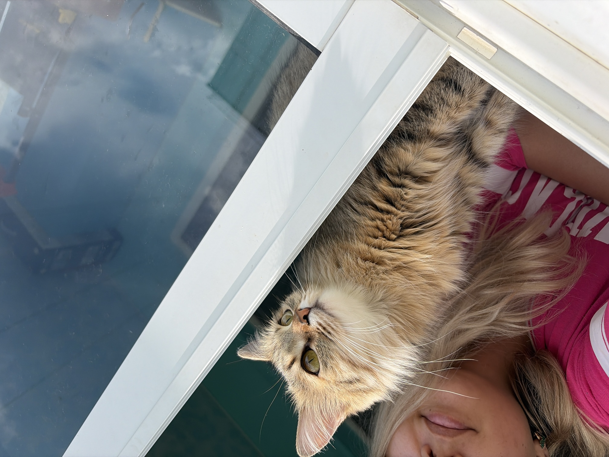 A close-up, high-angle shot shows a fluffy tabby cat with green eyes looking upwards, peeking through an open window. The cat's face and front paws are visible, along with a portion of a woman's blonde hair and face. The woman, wearing a pink and white striped t-shirt, is positioned below the cat. The window frame is white, and the glass reflects a blurry blue and green environment. The scene appears to be outdoors, as suggested by the lighting and reflections. The location is not discernible from the image.