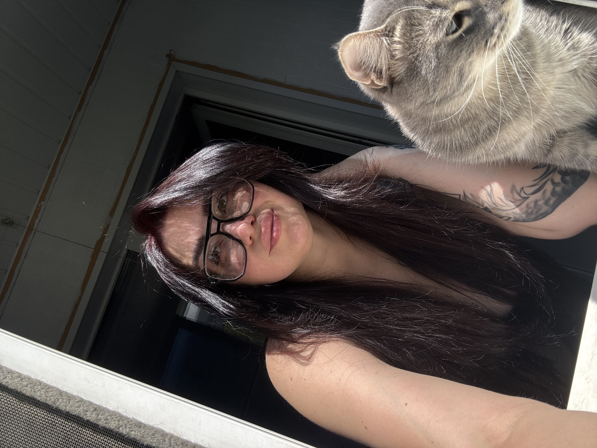 A medium shot captures a woman with long, dark hair and dark eyebrows, wearing black-rimmed glasses and a black top, posing outdoors with a gray tabby cat. Sunlight casts shadows on her face, illuminating her features. The woman's left arm is visible, revealing a tattoo on her upper arm. The cat sits to the right of the woman, with its head turned away from the camera. The background shows a building exterior with a screen door and a wall. The scene appears to be a residential area on a sunny day.