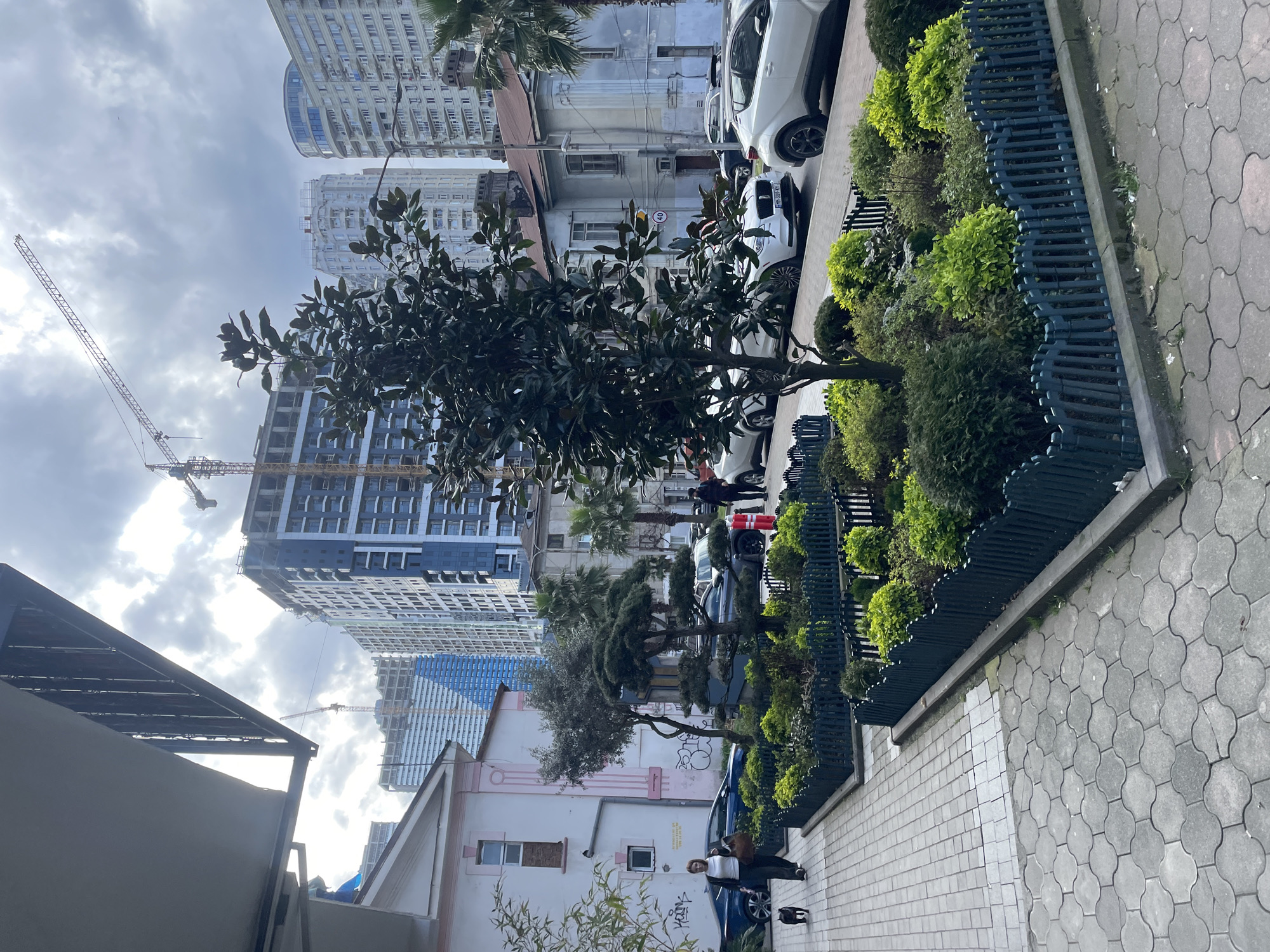 The image shows a street scene in Batumi, Georgia. A sidewalk paved with grey hexagonal tiles runs along the right side of the frame. A low, dark green fence separates the sidewalk from a narrow strip of land with various bushes and greenery. Cars are parked along the street behind the greenery, including white and blue vehicles. Several pedestrians are visible on the sidewalk and street. Modern high-rise buildings dominate the background, with construction cranes indicating ongoing development. The sky is overcast. In the foreground, there are a few trees along with a two story building that is pink and white.