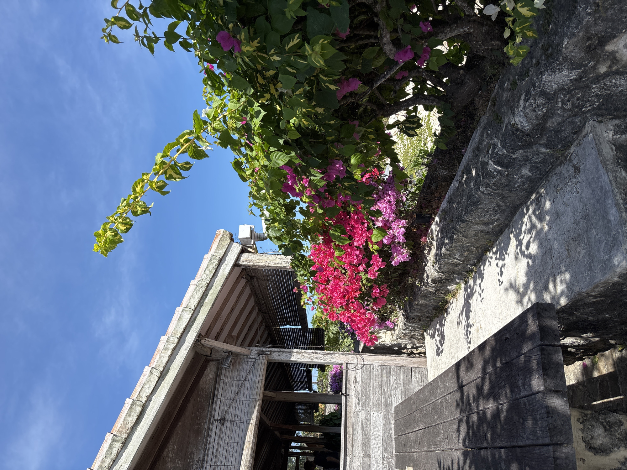 The image captures a bright outdoor scene with a traditional wooden building and vibrant flowering plants. A weathered wooden table and bench are in the foreground, casting dappled shadows on a concrete pathway. Behind the pathway, a stone retaining wall is covered with lush green foliage and abundant pink and purple bougainvillea flowers. The building, which appears to be a rustic open-air structure with wooden walls and a tiled roof, is partially visible on the left, featuring slatted windows with bamboo blinds. The sky is a clear, bright blue, suggesting a sunny day. The environment evokes a tropical atmosphere. While the image is tagged with Kuta Selatan, Indonesia, there are no discernable landmarks that specifically confirm this location within the photograph itself. No people are clearly visible within the frame, though a silhouette of a person can be seen inside the building on the left. The scene depicts a peaceful, possibly resort-like setting.