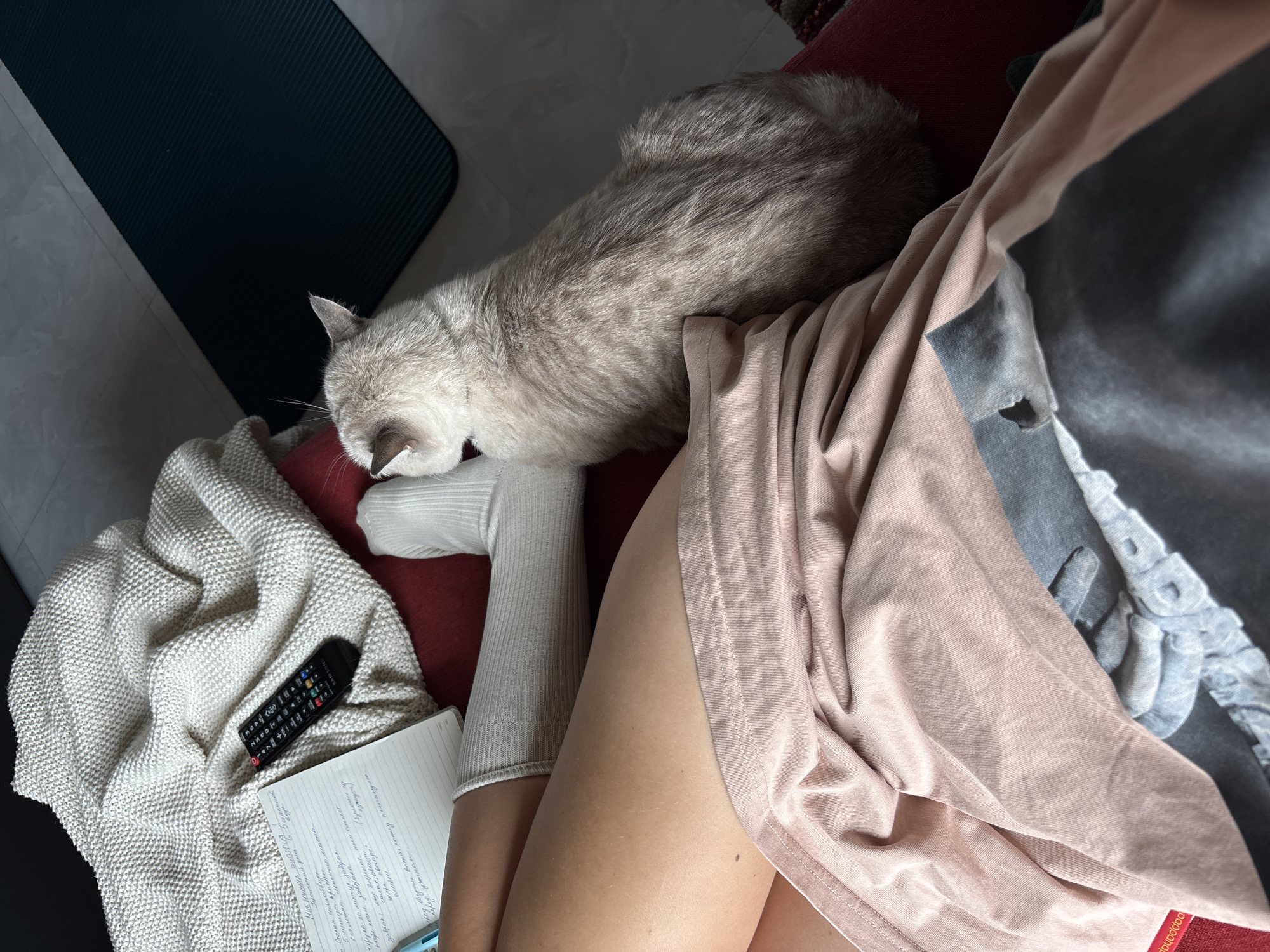 A top-down shot shows a person's legs, wearing white socks and a pale pink t-shirt, resting on a red chair. A silver-grey cat is perched on the chair next to the legs, facing away from the camera. A white knitted blanket is draped over the chair, with a black remote control and a notebook placed on it. To the right of the cat and blanket, a dark blue yoga mat lies on a gray tiled floor. The lighting suggests an indoor setting, possibly a home in Choeng Thale, Thailand, with a natural light source casting shadows.