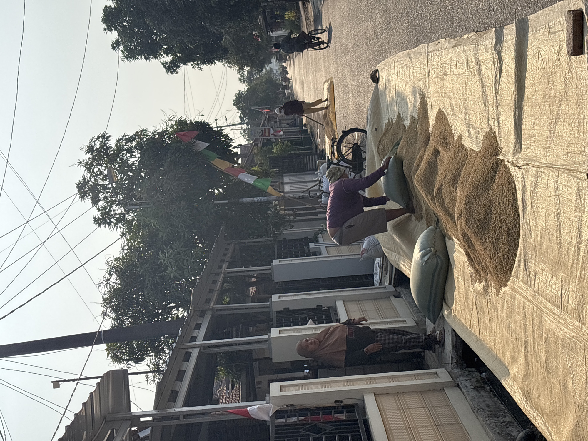 In Salawana, Indonesia, a street scene unfolds with individuals engaged in drying grain under a clear sky. In the foreground, a large tarp covers a portion of the paved street, serving as a surface for drying harvested grain. Several piles of grain are spread across the tarp, with two large sacks also visible. Two individuals are actively working with the grain. One person, wearing a purple shirt and beige pants, is bent over, appearing to rake or spread the grain. Another person in a dark shirt and checkered pants is standing near a building, watching.
Further down the street, two more individuals are present. One person, in tan clothing and wearing a white helmet, is using a rake to spread a pile of grain on a smaller tarp. A bicycle is parked next to them. In the background, a person is riding a bicycle away from the camera. The street is lined with houses and trees, and electrical wires are strung overhead. Indonesian flags, red and white, are visible, one on a pole near a house and another in a line of colorful flags further down the street. The overall impression is one of agricultural activity taking place in a residential urban environment.