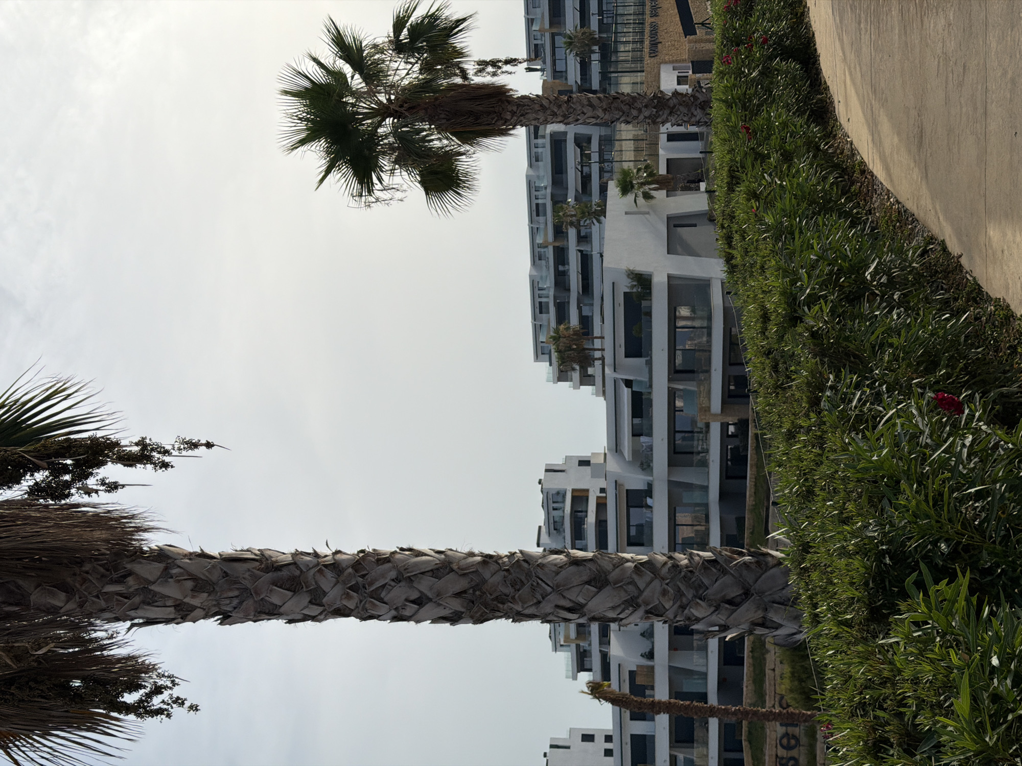 The image shows a view of a modern resort complex in Finestrat, Spain. In the foreground, a paved walkway curves to the right, bordered by a dense green hedge with occasional red flowers. Two tall palm trees are visible, one in the left foreground and another in the right mid-ground. Behind the hedge and palm trees, a series of white, multi-story buildings with balconies and large windows are arranged in a stepped pattern. The architecture is contemporary and sleek. The sky is overcast and light gray, suggesting a cloudy day. In the background, part of a sign that reads "COMPLESSO RESIDENZIALE" is visible on a stone wall, confirming the location as a residential complex. There are no people visible in the image.