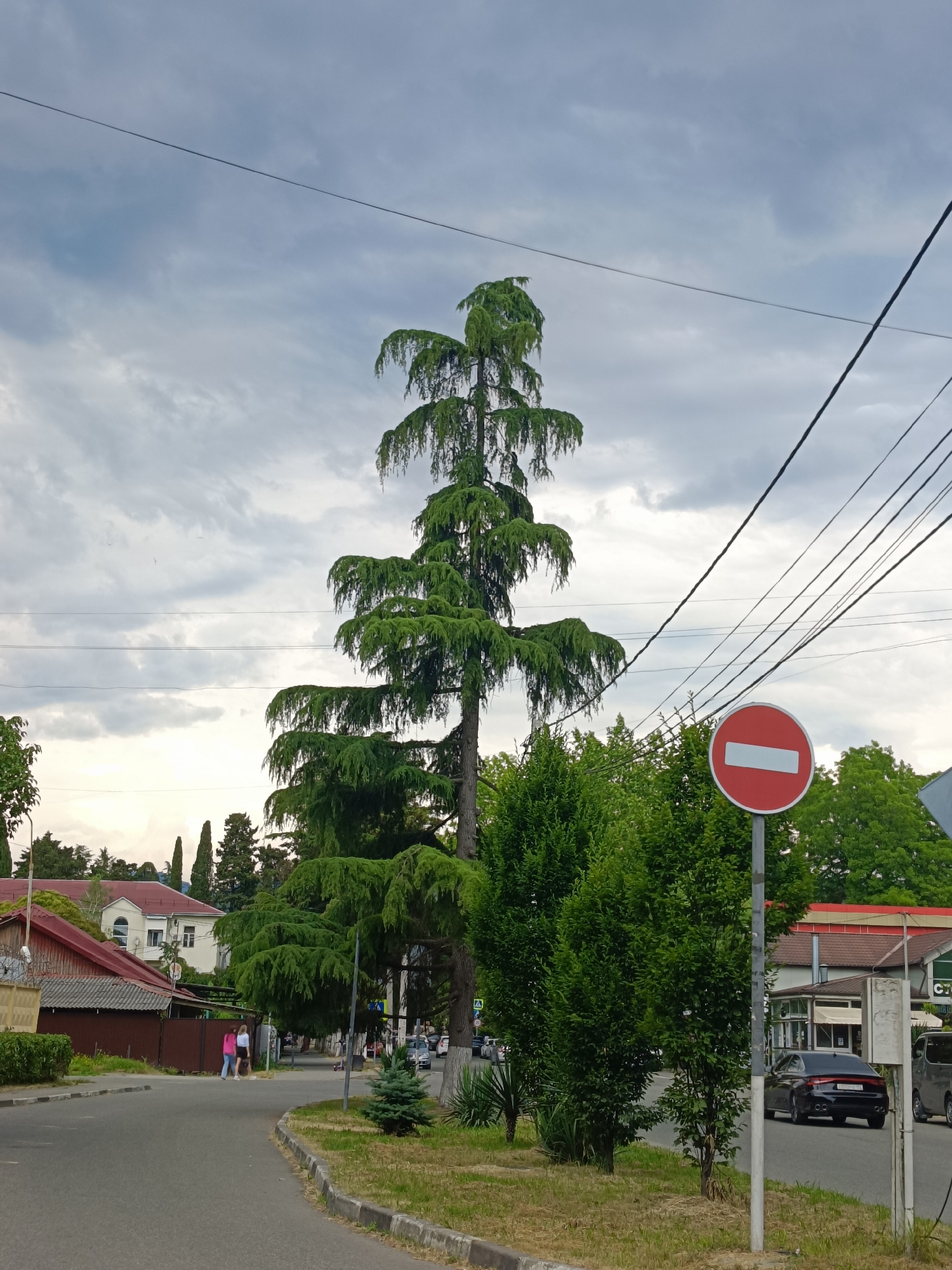 A street scene in Oryol-Izumrud, Russia, features a paved road curving to the left, with a sidewalk and grassy verge along the right side. Overhead, power lines crisscross a cloudy sky. A tall evergreen tree with tiered branches dominates the center of the frame, flanked by smaller trees and lush green bushes. To the right, a circular red and white "no entry" traffic sign is mounted on a pole. In the background, buildings line the street, including a red-roofed structure on the left and a commercial building with awnings on the right. Two women are walking on the sidewalk in the mid-ground. A dark sedan is parked on the right side of the road. The overall impression is a residential or semi-commercial area on an overcast day.