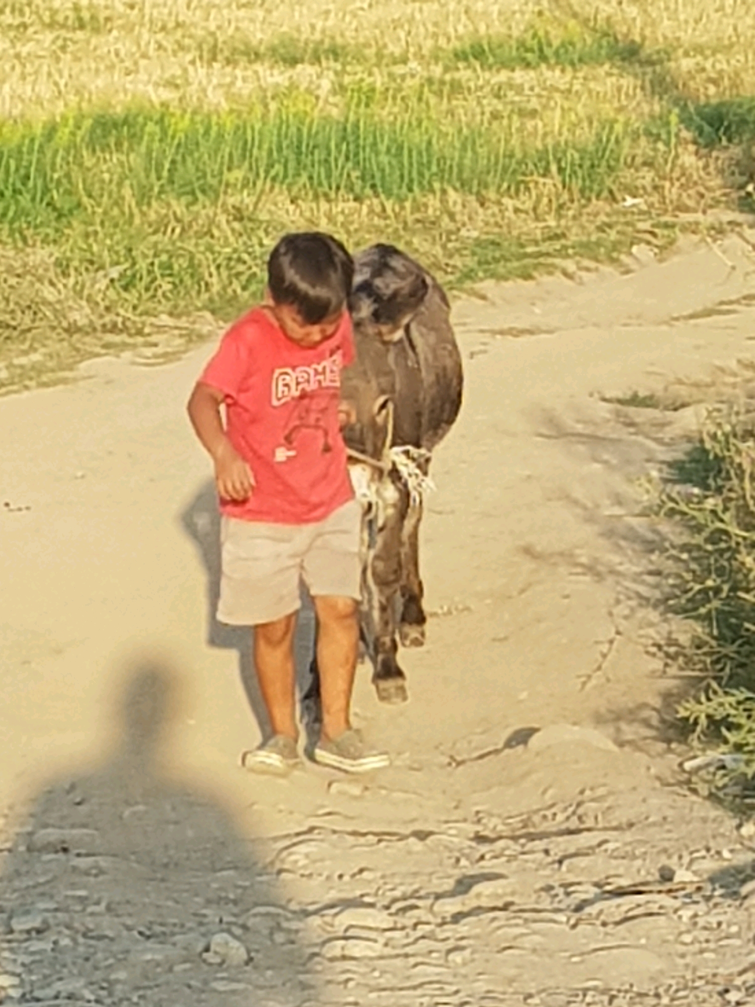 A young boy wearing a red t-shirt with "GAME" printed on it and light-colored shorts stands next to a donkey on a dirt path in a rural setting that appears to be the vicinity of Ақдала, Kazakhstan. The boy is looking down at his feet. The donkey is brown and appears to be tied with a rope around its neck. In the background, there is dry grass and some green vegetation, suggesting an arid or semi-arid environment common in Kazakhstan. The lighting indicates it is daytime, likely late afternoon or early morning due to the long shadow cast by the boy. The path is uneven with loose dirt and small stones.