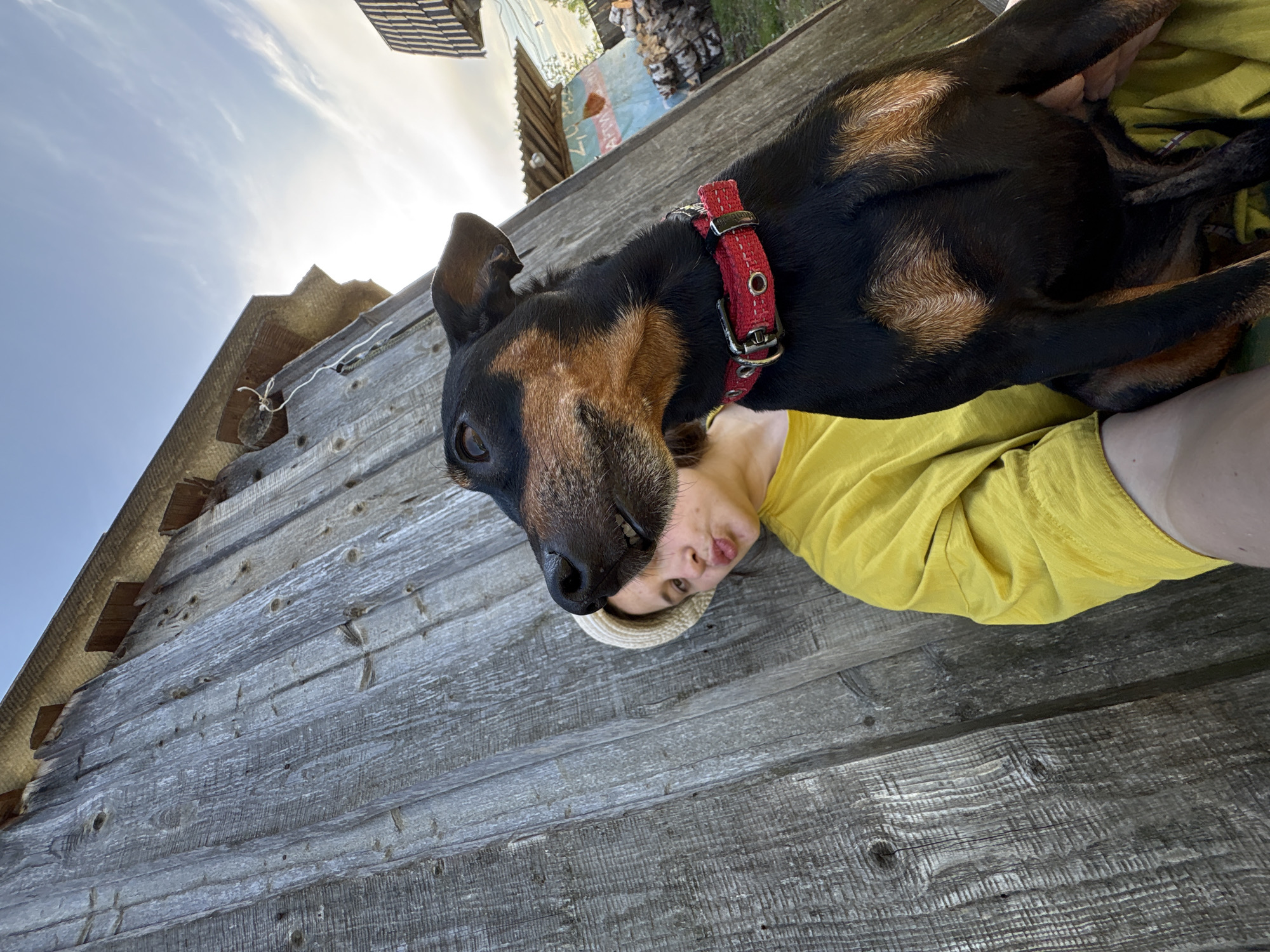 The image shows a person and a dog lying on a weathered wooden surface, likely a deck or porch. The dog, a medium-sized breed with black and tan markings, wears a red collar. The person is lying on their side, wearing a yellow shirt and a hat. The background includes a building with a partially visible mural and some greenery. The location is Усть-Тунтор, Russia. The composition is slightly tilted, giving the impression of a selfie taken from a low angle. The lighting suggests a sunny day.