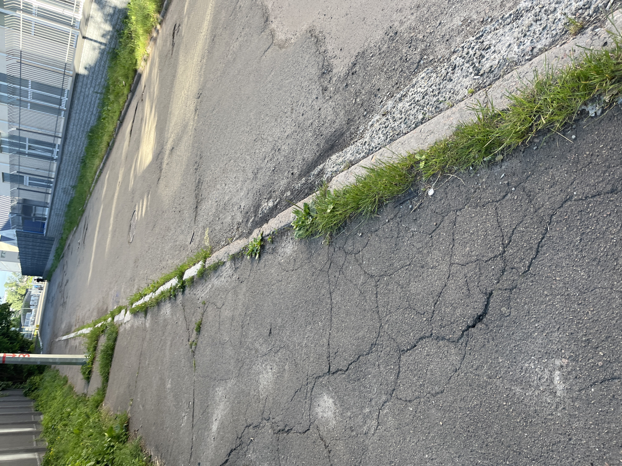 An eye-level, medium shot captures a paved road with a cracked asphalt surface, bordered by a concrete curb on the right. A line of vibrant green grass grows along the edge of the curb, with more grass and weeds encroaching on the cracked sidewalk on the left. In the distance, the road curves slightly towards a fenced building with a row of windows. A lone figure is seen walking on the road in the far distance. The scene appears to be in an industrial or commercial area of Kyiv, Ukraine, given the appearance of the buildings and fencing. The lighting suggests it is daytime, likely morning or late afternoon, due to the shadows cast across the road.