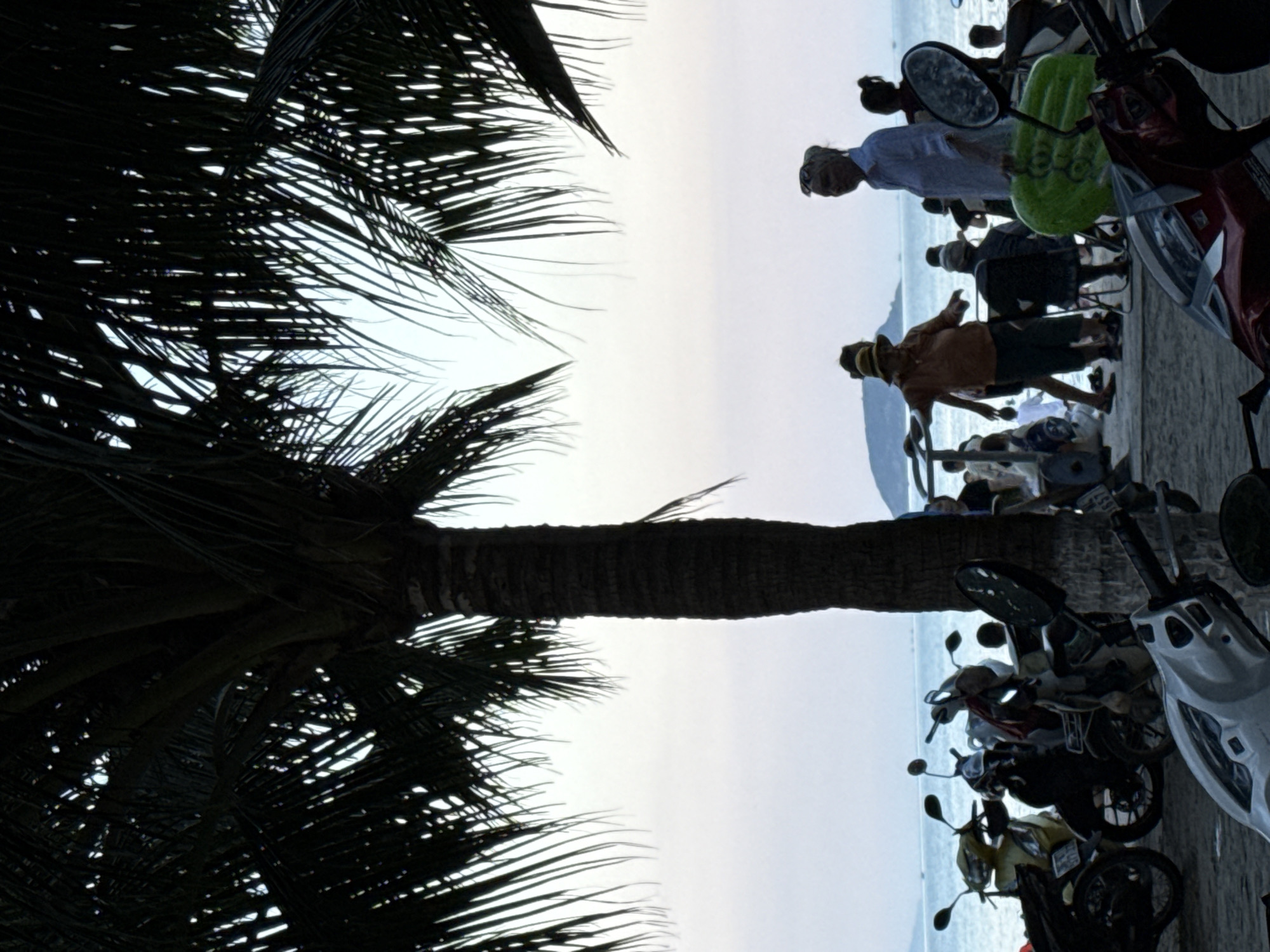 The image depicts a beach scene in Nha Trang, Vietnam, dominated by the silhouette of a palm tree in the foreground. Underneath the palm tree, several people are visible. A woman in a white shirt and patterned headscarf stands near a green inflatable object. To her left, a person wearing a hat and an orange shirt is gesturing. In the background, a body of water, likely the sea, stretches to the horizon, with a distant island or landmass visible. Several motorcycles are parked on the sand in the foreground and mid-ground, some of them in shadow. The overall lighting suggests it is either early morning or late afternoon.