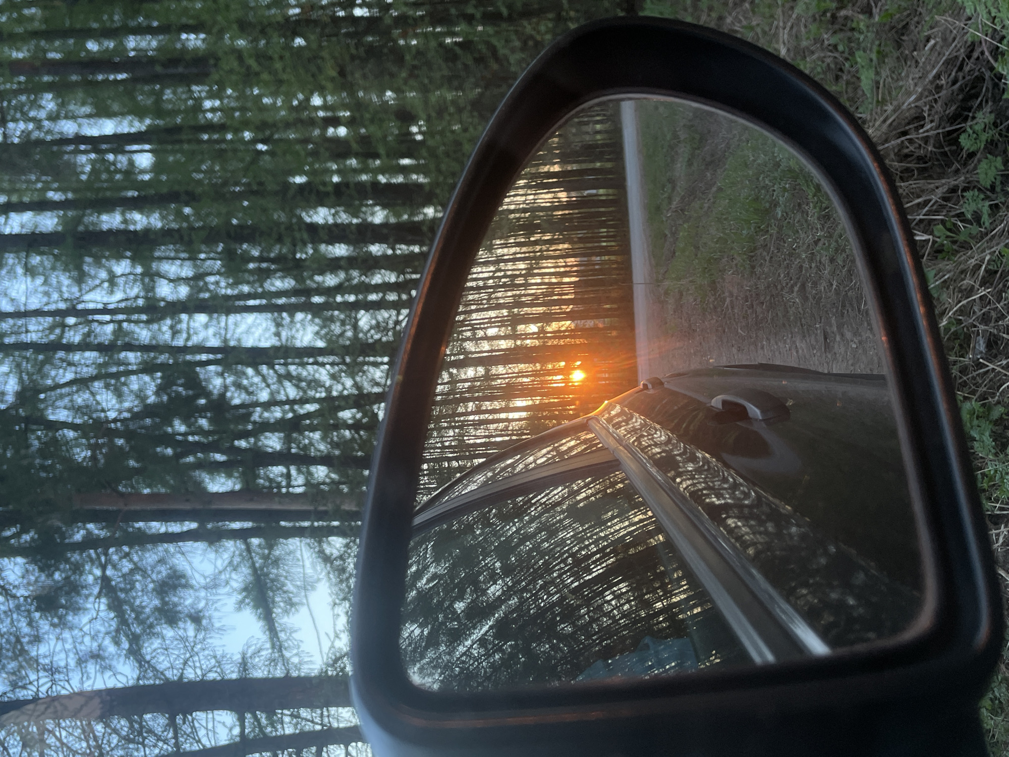 A passenger-side rearview mirror is the focal point of the image. The mirror reflects a scene of a sun setting through a dense forest of tall, slender trees. The sun appears as a bright orange orb, partially obscured by the trees. A narrow road can be seen next to the car, edged with vegetation on its shoulder. The car's door, with its handle, is also reflected in the mirror. The environment suggests a location in or near a wooded area, potentially on the outskirts of the city of Подшивалово, Russia. The scene shows a car driving through or parked beside a forest at sunset.