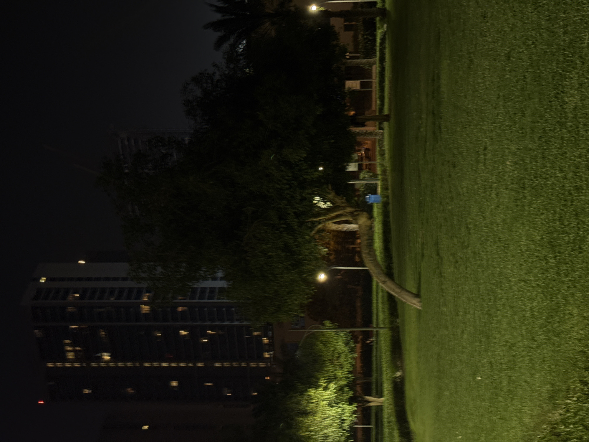 This is a vertical, low-light photograph of a park scene at night in Dubai, United Arab Emirates. The foreground features a well-maintained, green lawn, illuminated by artificial light, creating a vibrant glow against the dark surroundings. A slender tree with a gracefully curved trunk, possibly a palm tree, is a prominent feature, its silhouette outlined against the faint light.
In the middle ground, a line of streetlights illuminates a path, casting pools of warm light on the grass and a nearby tree. Behind the trees, a modern, multi-story building is visible. Its facade is dark, but numerous windows glow with interior lights, suggesting it is an apartment building or office complex. The building's architecture appears contemporary, with rows of horizontal windows.
The background is dominated by the dark night sky, with only faint hints of distant lights. The overall mood is serene and quiet, typical of a park at night. The presence of the modern building and the well-kept park suggest an urban setting, likely a residential or commercial area. There are no people visible in the image. The time of day is clearly night due to the darkness and artificial lighting. The weather appears to be clear, as there are no indications of rain or fog. There is no visible text in the image.