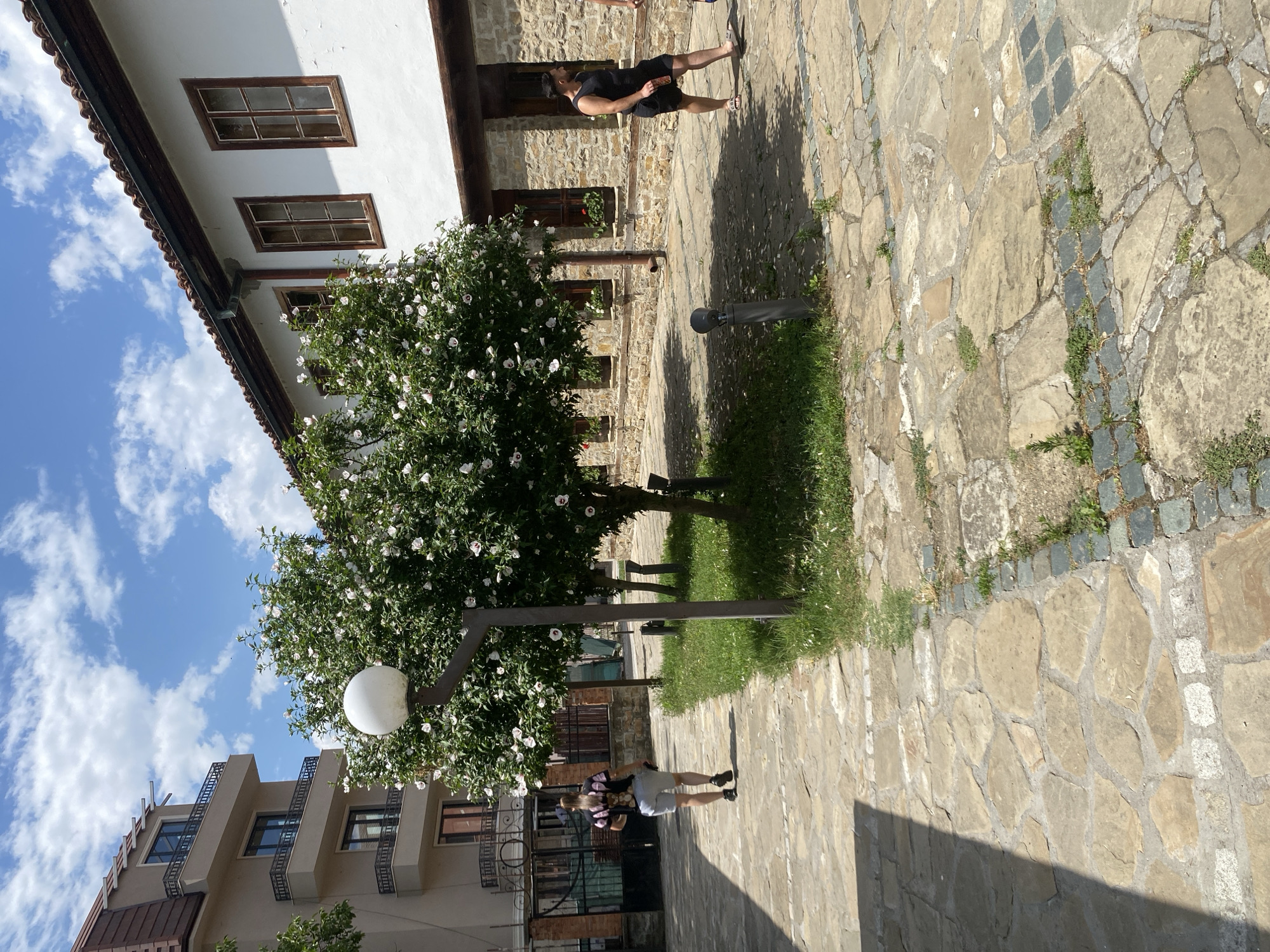 The image depicts an outdoor courtyard with a paved stone pathway. In the center, a flowering tree with white blossoms is prominently featured, alongside a lamppost. To the left, a multi-story building with balconies and a peaked roof is visible. To the right, a traditional stone building with wooden-framed windows runs along the courtyard.
Two individuals are present in the scene. One person, from behind, walks away from the viewer down the pathway, wearing a black t-shirt with a graphic design and light-colored shorts. Another person is walking towards the right, wearing a black tank top and shorts.
The environment appears to be a public space, possibly a historical site or a charming urban area, given the architectural styles of the buildings. The sky is blue with scattered clouds, suggesting fair weather. The pathway is irregular, made of large, flat stones interspersed with smaller square stones and patches of grass. The overall impression is one of a sunny day in a European town.
While the image provides a detailed visual of the location and its occupants, it does not contain any information that would allow for specific identification of the city as Sevlievo, Bulgaria.