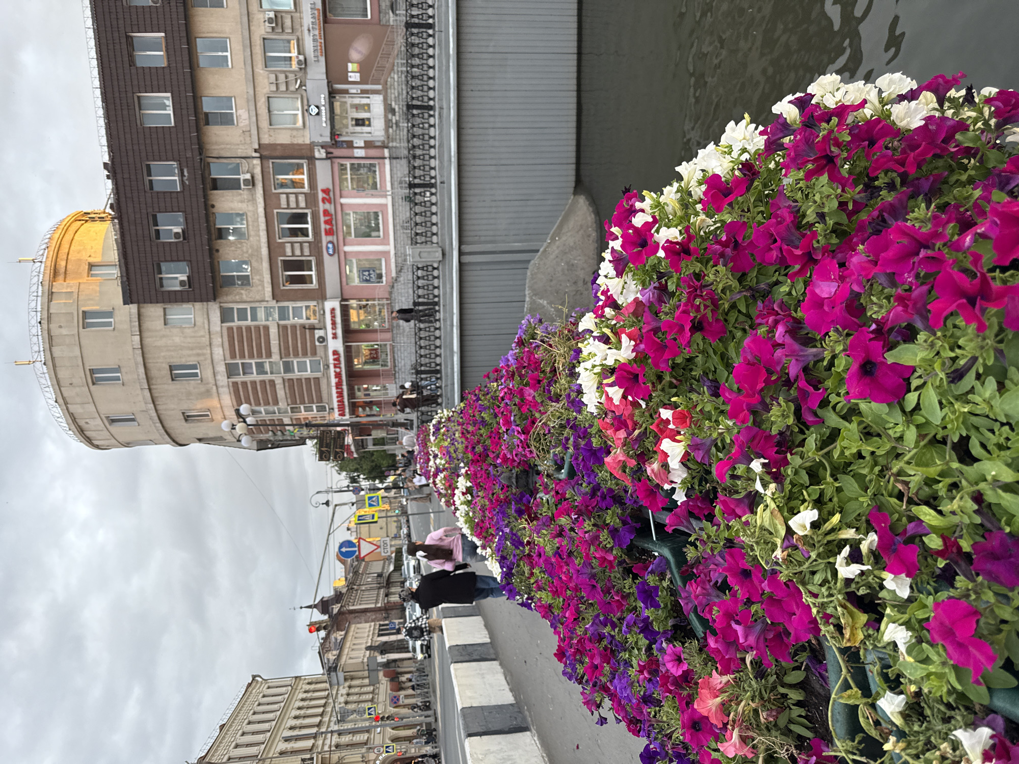 The image shows a street scene in Kazan, Russia, with a prominent display of petunias in bloom along a walkway. The flowers are a vibrant mix of pink, purple, and white, creating a colorful foreground. In the background, several buildings are visible, including a rounded building with multiple stories and a dark, mansard-style roof. Shops with signs like "LUXURY TRAVEL" and "БАР 24" are present on the lower floors of these buildings. A street with cars and pedestrians is also visible, with traffic lights and road signs indicating urban activity. A canal or river runs alongside the walkway with the flowers. Two people, a man and a woman, are walking away from the camera on the sidewalk. The sky is overcast, suggesting a cloudy day.