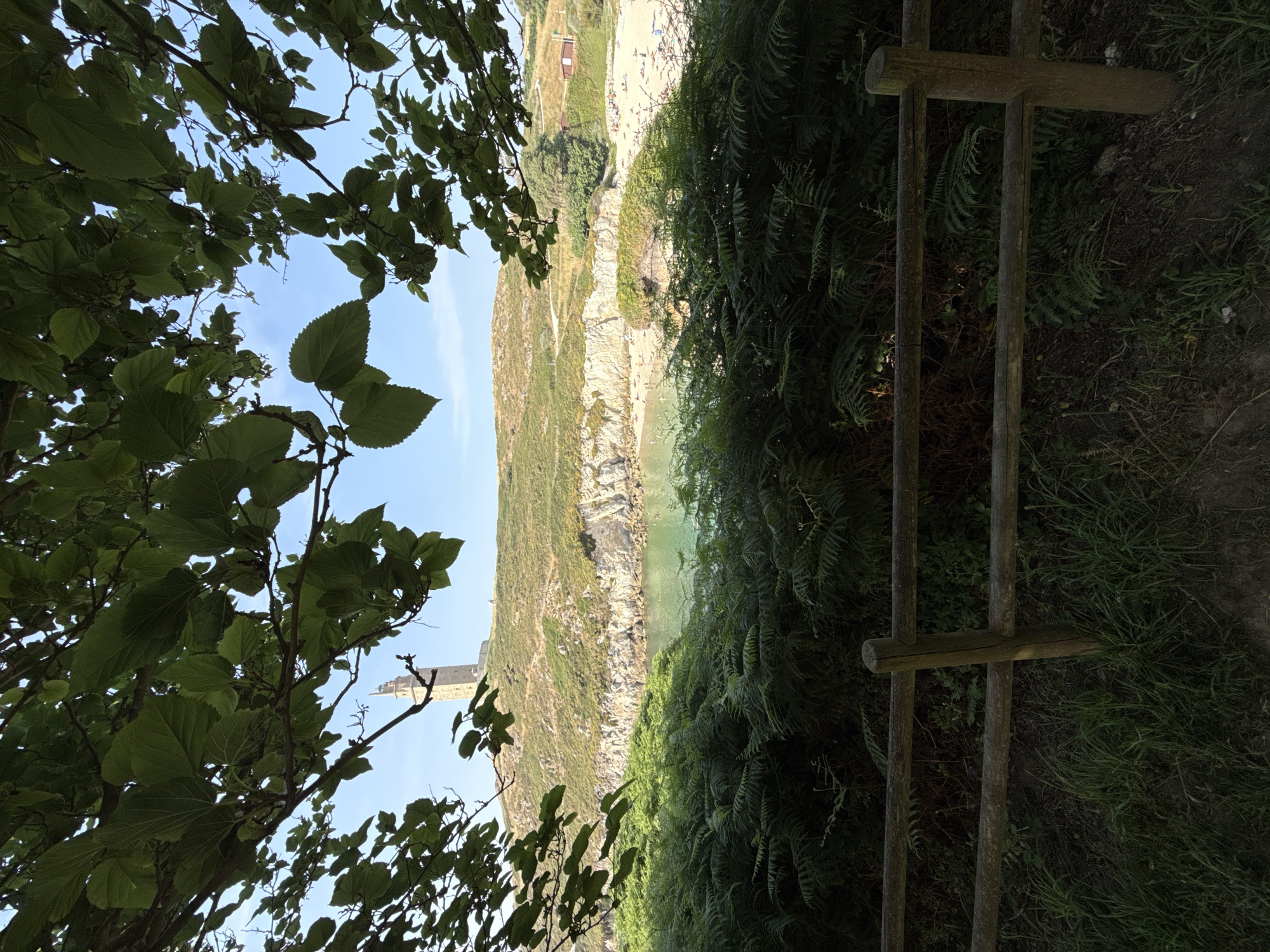 This image depicts a view through leafy branches and ferns towards a coastline. In the distance, atop a grassy hill, stands a tall, stone lighthouse. A body of water, appearing to be a bay or cove, lies between the foreground vegetation and the cliff face leading up to the lighthouse. A sandy beach is visible along the edge of the water, with numerous people sunbathing and swimming. A wooden fence with two horizontal rails and vertical posts runs across the lower part of the foreground. The sky is clear and blue, indicating a sunny day. This scene is characteristic of the area around the Tower of Hercules, a UNESCO World Heritage Site and an ancient Roman lighthouse located in the city of A Coruña, Spain.