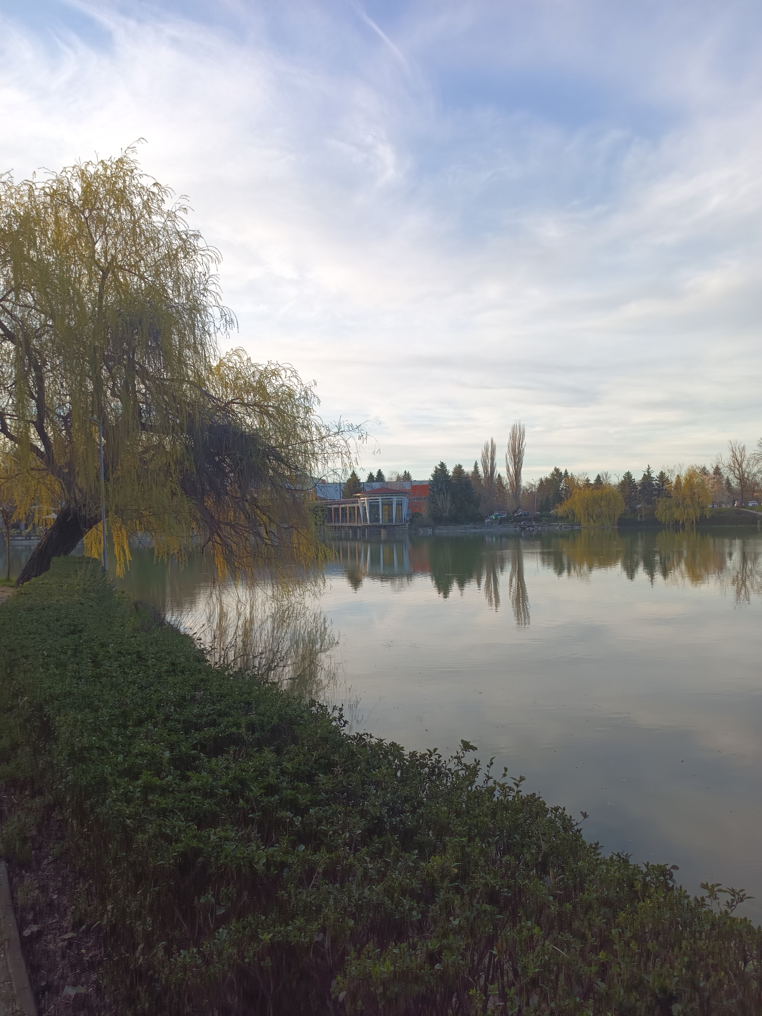 The image depicts a park landscape in Targovishte, Bulgaria. The foreground features dense green bushes lining the edge of a body of water, likely a lake or a large pond. A weeping willow tree, with its characteristic drooping branches bearing yellow leaves, leans over the water. Beyond the immediate shoreline, the water reflects the sky, trees, and a building on the opposite bank. This building has an open, pavilion-like structure with a red roof and white pillars. In the background, a variety of trees and other vegetation are visible, along with some indistinct parked cars. The sky is overcast with a mix of blue and white clouds. No people are visible in the image.