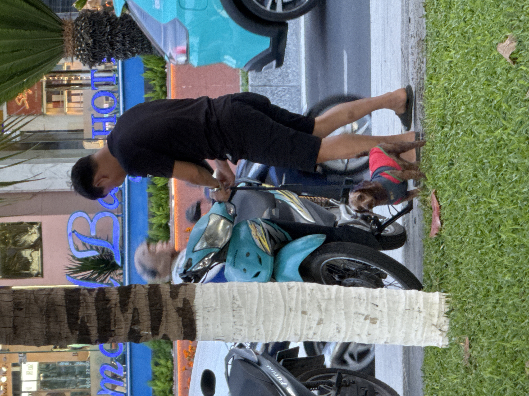 In Nha Trang Ward, Vietnam, a man in black shorts and a black t-shirt is standing next to a teal and black scooter. He appears to be holding the handlebars of the scooter, possibly preparing to move it. A small, brown dog wearing a red and gray vest stands on the sidewalk near the scooter. Behind the man and scooter, a teal car is parked on the street. In the background, a building with blue neon signage that reads "B HOTEL" is visible. The scene is set on a sidewalk with green grass to the left and the street to the right. A palm tree trunk is prominent in the foreground, partially obscuring the view of the scooter and man.