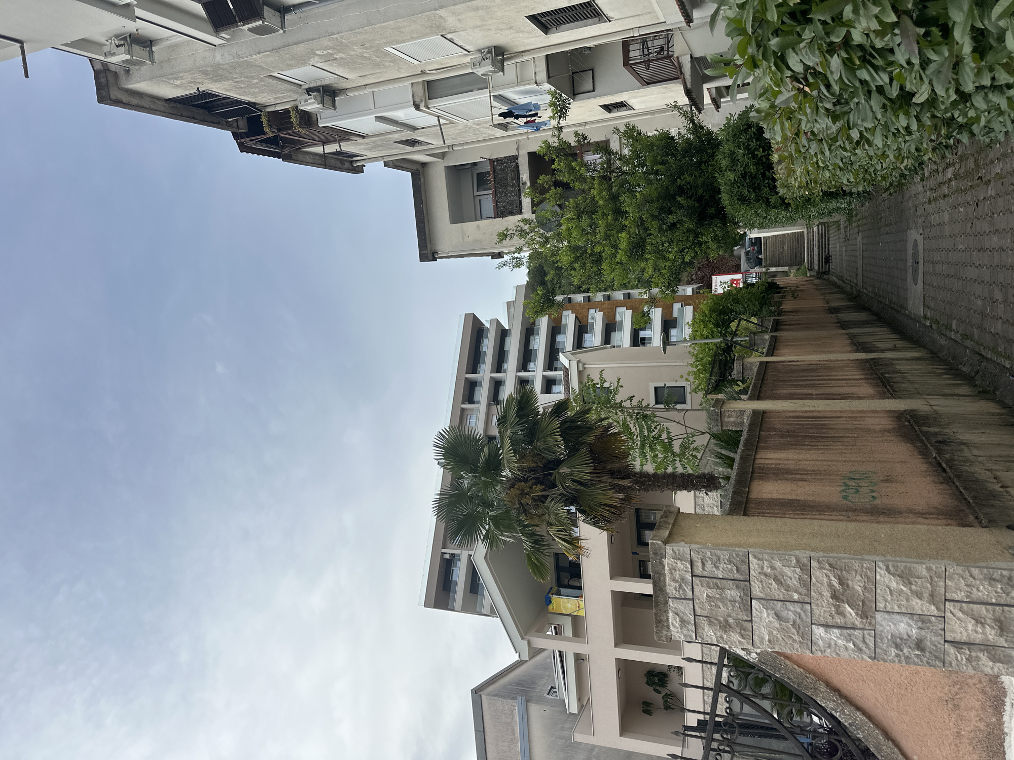 An outdoor scene in Budva, Montenegro, depicts a narrow street lined with buildings. A palm tree stands prominently in the foreground near a stone wall and wrought-iron gate. The street ascends slightly, bordered by buildings of varying heights and architectural styles. Laundry hangs from a balcony of an older building higher up in the street. The sky is overcast. No people are visible in the scene.
