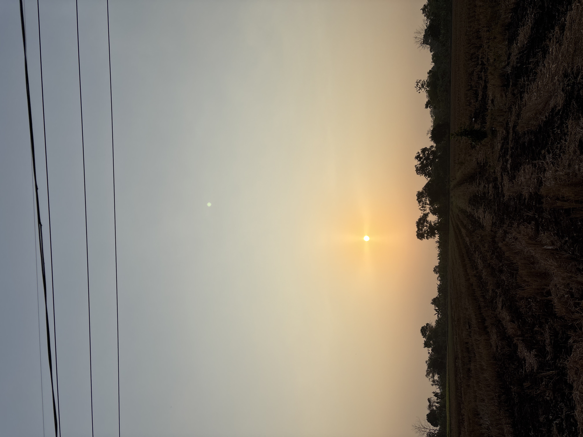 The image depicts a rural landscape in Panongan, Indonesia, at sunset. The foreground is a harvested rice field, with rows of stubble and some darker, possibly burnt, areas. A path or track runs through the field towards the horizon. A line of trees forms a silhouette against the sky, with a few taller trees interspersed among them. In the sky, the sun is low and orange, casting a warm glow. Above the horizon, the sky transitions from orange to a pale blue at the top of the frame, where several horizontal power lines are visible. A faint, light green orb is visible in the upper left quadrant of the sky, possibly a lens flare or a distant atmospheric phenomenon. There are no people or animals visible in the image.