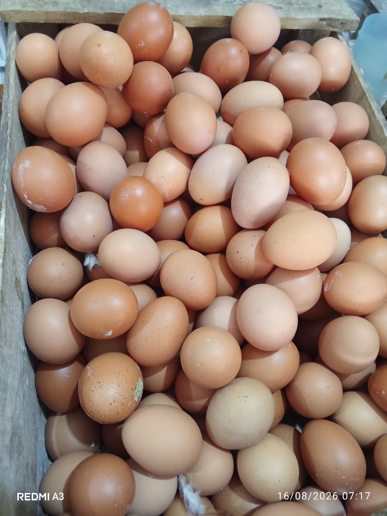 A medium shot captures a wooden crate filled with numerous brown and off-white chicken eggs. The eggs are densely packed, with some slightly cracked or bearing small specks. The lighting is dim, casting shadows and highlighting the textures of the eggs. In the bottom left corner, the text "REDMI A3" is visible, and in the bottom right corner, a date and time stamp reads "16/08/2026 07:17." The background is blurred but suggests a dimly lit, indoor setting. This image appears to be a photograph taken in Cemani, Indonesia.