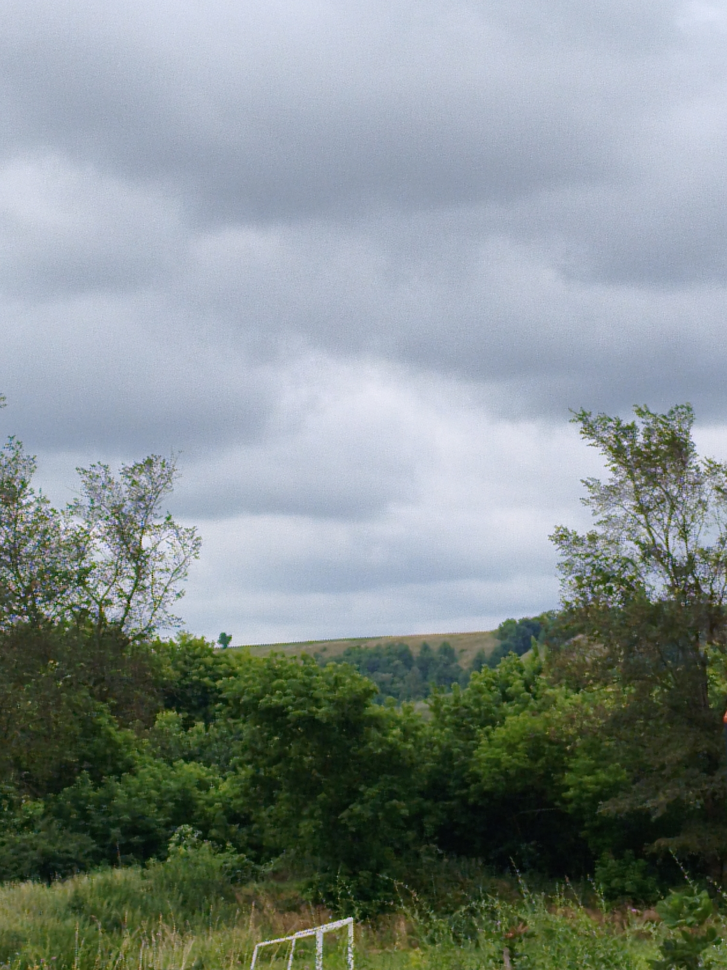 The image shows a landscape with dense foliage and a cloudy sky. In the foreground, there is tall grass and some white fencing. The middle ground is filled with a variety of trees and bushes, with a hillside covered in trees in the background. The sky is overcast with thick, gray clouds. The overall impression is of a rural or natural setting under a somber sky. The image is stated to be from Ustyvytsia, Ukraine.