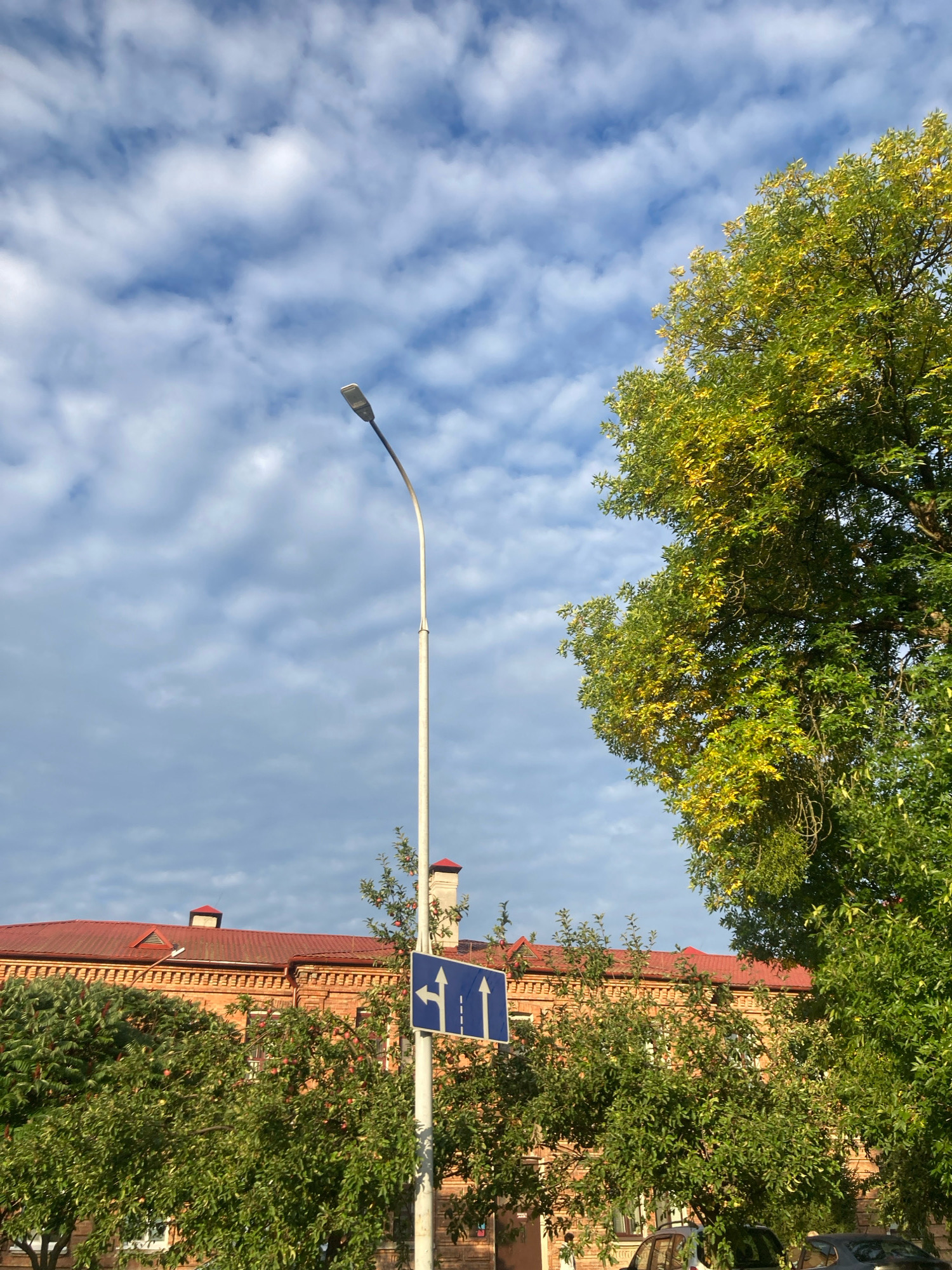 The image depicts a street scene with a lamppost, a traffic sign, a building, and trees under a cloudy sky. The building has a red tile roof and orange brick walls. The trees are green and leafy, with some showing signs of autumn color. The traffic sign indicates that vehicles can go straight or turn left. The scene is likely in Brest, Belarus, based on the available information. There are no people or animals visible in the image. The lighting suggests it is daytime.