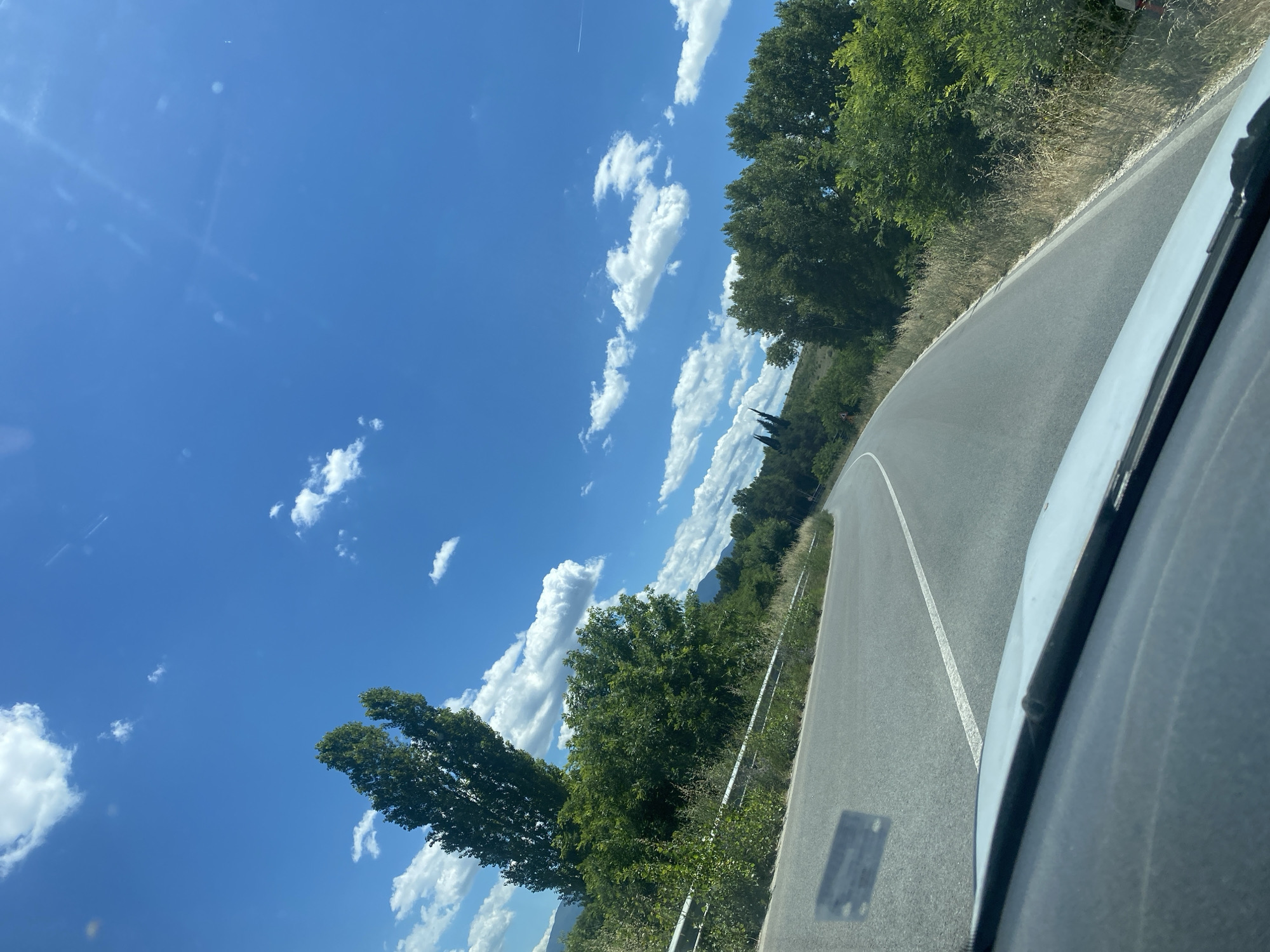 The image depicts a car's perspective of a winding asphalt road passing through a rural, natural environment under a bright blue sky with scattered white clouds. The road has a white dashed line marking its center. On the left side of the road, a metal guardrail runs along the edge, separating the road from a dense growth of green trees and vegetation. A tall, slender tree with dark green foliage stands prominently on the left, its top reaching high into the sky. On the right side of the road, more green trees and dry grasses line the roadside. In the distance, rolling hills and more trees are visible, with the sky dominating the upper portion of the frame, showing sunlight reflecting off the lens. The bottom of the image shows the dashboard and windshield of the car. This scene is indicative of a road in or near Radilovo, Bulgaria, likely during a clear, sunny day, suggesting a travel or scenic drive through the countryside.