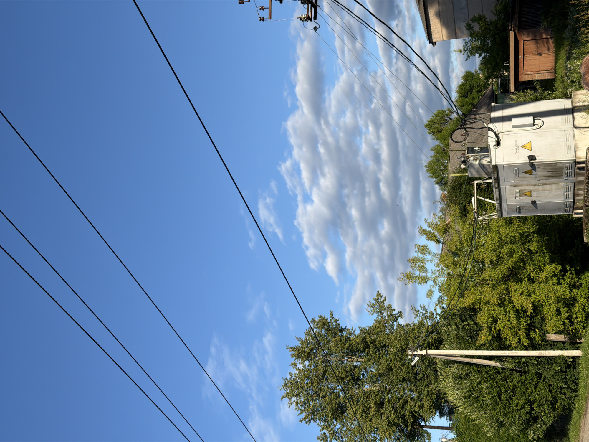 This image captures a scene in Moshenskoe, Russia, on a clear day with scattered clouds. The foreground features a utility transformer box and a power pole adorned with insulators and wires. These wires crisscross the frame, extending towards the top and right. Behind the transformer and pole, lush green trees and foliage are abundant, with a glimpse of a building and a small wooden shed on the right. The sky is a vibrant blue, partially obscured by fluffy white clouds. No individuals are visible in the frame.