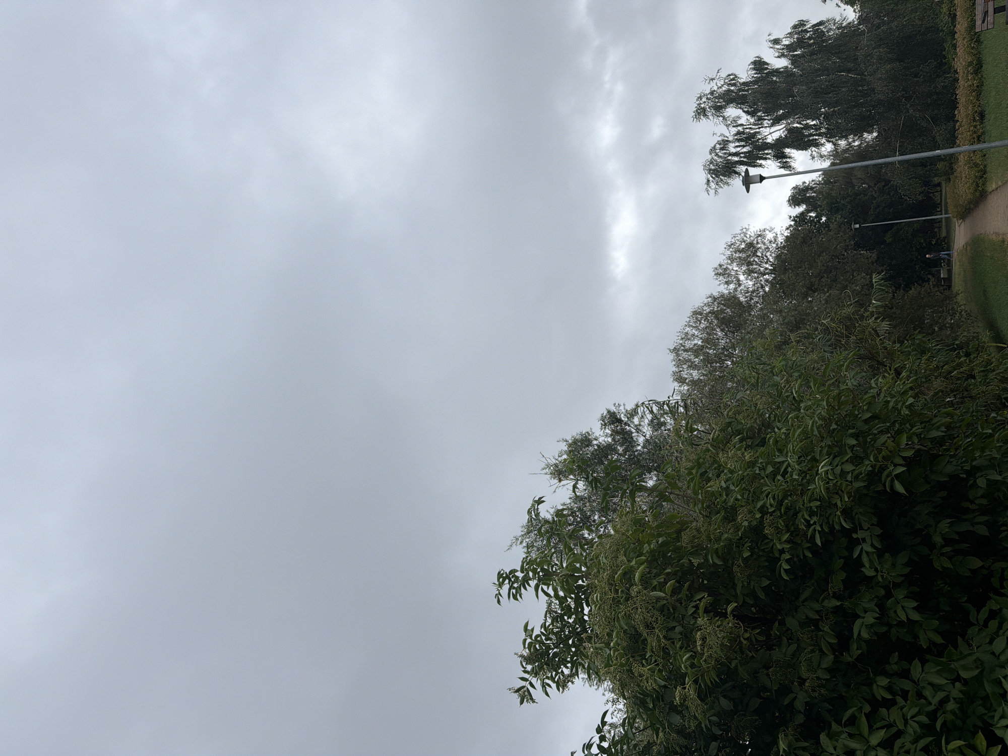 The image shows a park with a cloudy sky on a day that appears to be overcast. In the foreground, on the left, is a dense green bush or tree. Further into the park, a pathway curves to the right, leading past two lampposts. In the background, there are various trees, some of which are tall and slender, while others are broader. One person is visible walking on the pathway in the middle ground. The overall impression is a tranquil, natural setting within an urban environment, likely in Szczecin, Poland, given the provided context.