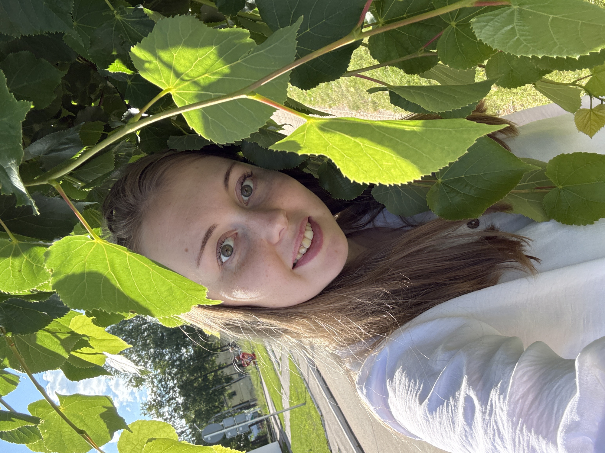 A young woman with light brown hair, green eyes, and visible freckles smiles directly at the camera while partially obscured by a dense cluster of vibrant green leaves. She wears a white, long-sleeved, textured shirt. The leaves, some brightly backlit by sunlight revealing prominent veins and serrated edges, occupy the foreground and surround her face. In the background, visible through gaps in the foliage, is an outdoor urban or suburban scene under a bright blue sky with white clouds. A paved road with a white edge line, a grassy verge, a concrete sidewalk, and two grey street signs on a pole are visible on the left side. Distant green trees and a light-colored building are also discernable beyond the street infrastructure. The scene is brightly lit by natural sunlight, casting shadows and highlights across the foliage.
