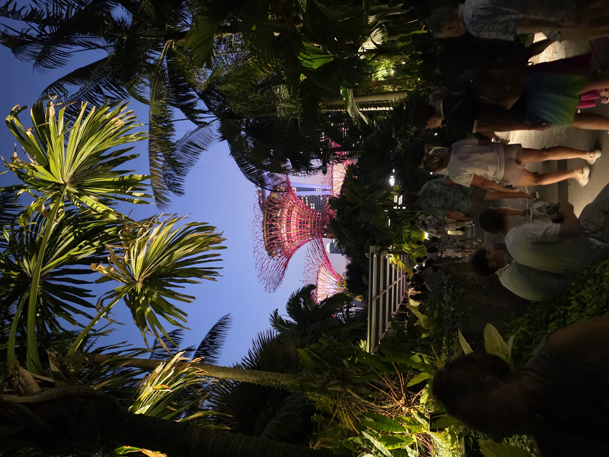 The image captures a twilight scene at Gardens by the Bay in Singapore. In the foreground, a pathway is lined with lush, tropical foliage and illuminated by warm spotlights. Several people are walking along the pathway, some in the foreground and others further down towards the illuminated structures. The iconic Supertrees of Gardens by the Bay are visible in the mid-ground, glowing with vibrant pink and purple light against the darkening sky. The architecture of the Supertrees, resembling giant metallic trees, is detailed with intricate latticework. In the background, the silhouette of a modern skyscraper can be seen. The overall atmosphere is serene and visually striking, highlighting the blend of nature and futuristic architecture.