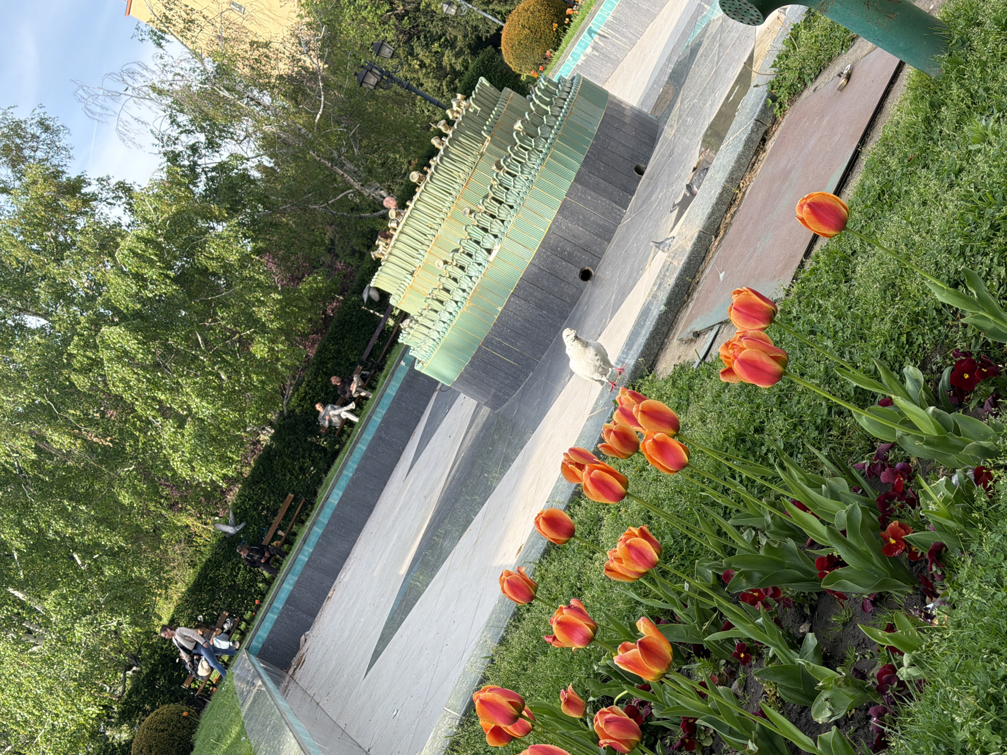 This image captures a vibrant daytime scene in what appears to be a public park or square. The prominent feature is a long, multi-tiered fountain constructed from dark grey stone with a series of green-patinaed metallic or ceramic elements along its top edge, creating a stepped or cascading design. Several pigeons are visible near the fountain's base and on the surrounding paved areas.
In the foreground and running diagonally across the lower half of the frame, there's a lush flower bed filled with numerous bright orange and red tulips. Dark red pansies and green foliage are also part of this planting. Beyond the fountain, mature green trees with light-colored bark provide shade, and a yellow building is partially visible against a clear blue sky in the upper left background.
Several people are present in the scene, enjoying the pleasant weather. Some individuals are seated on wooden benches under the trees, while one person can be seen walking near the fountain. A pigeon is also captured in flight among the trees. The weather is sunny with a clear sky, and the overall atmosphere suggests a peaceful and leisurely outdoor setting. There is no visible text in the image.