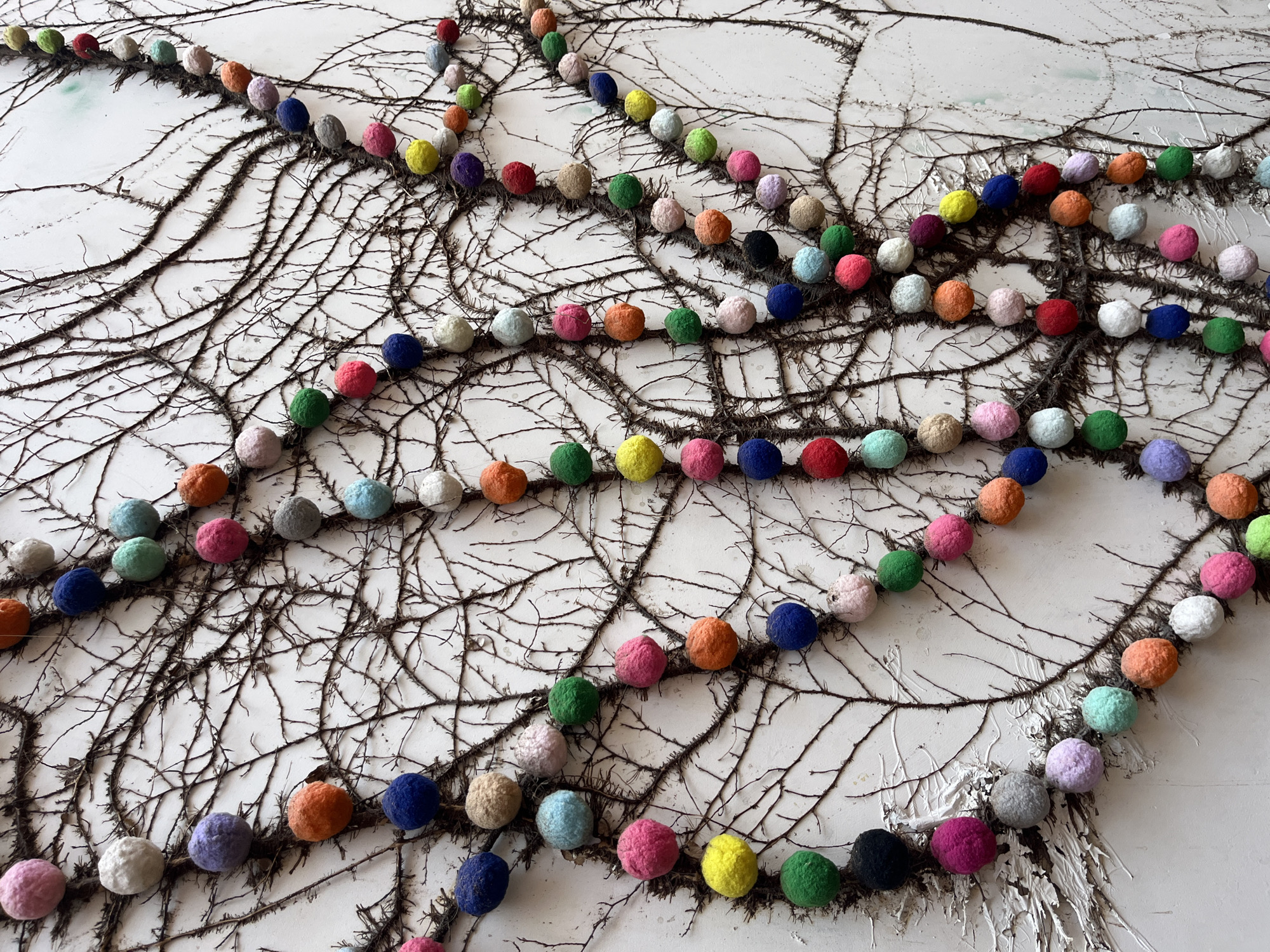 A close-up shot reveals a white wall adorned with dried ivy vines. A string of colorful felt balls is draped across the wall, loosely following the pattern of the vines. The balls are in various shades of blue, green, yellow, orange, red, purple, and gray. The setting and location are not discernible from the visual information.