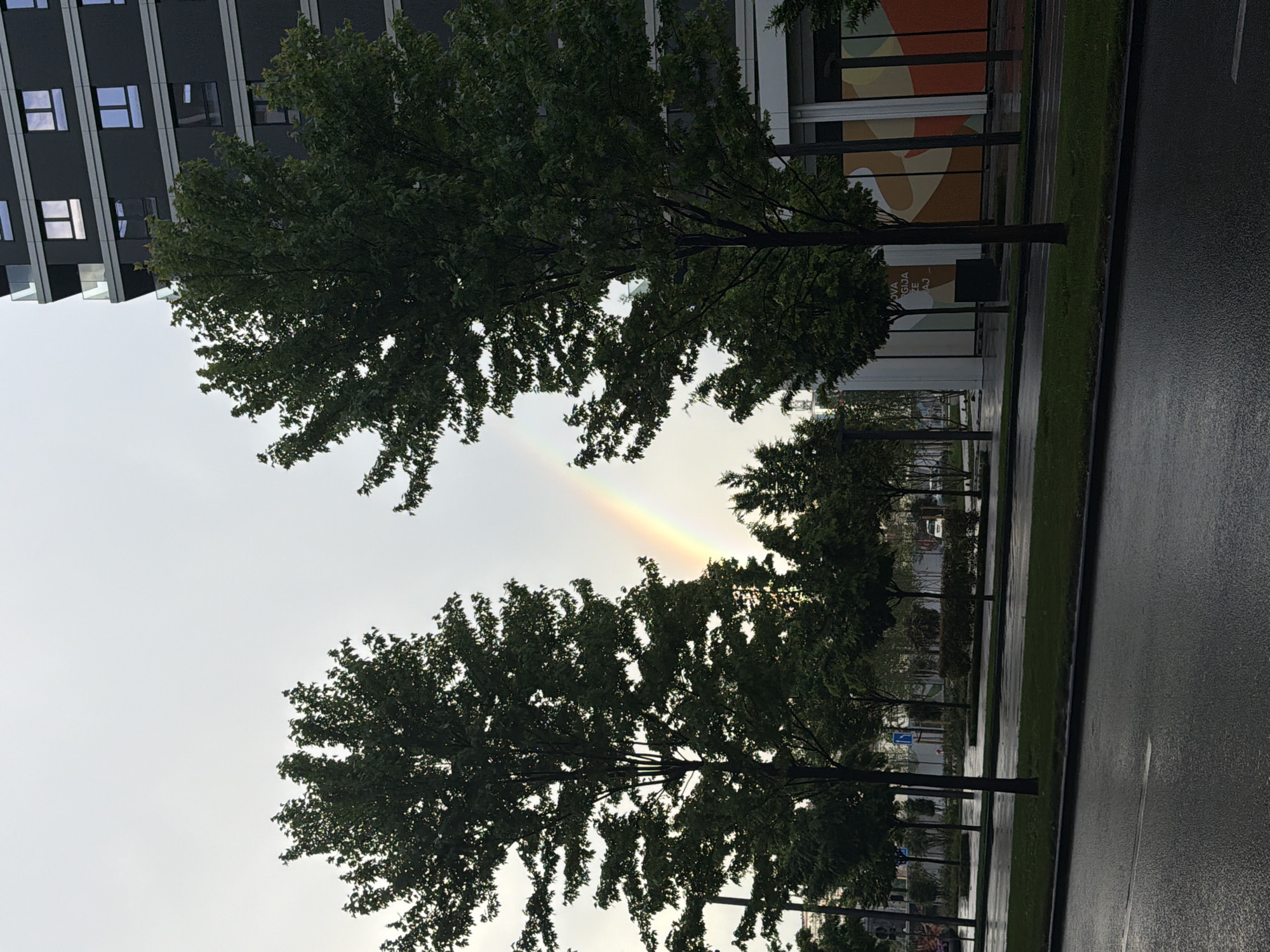 The image depicts a street scene in Belgrade, Serbia, featuring a rainbow visible through a gap between trees. The trees line the street, with a modern building partially visible in the background. A wet road surface suggests recent rain.