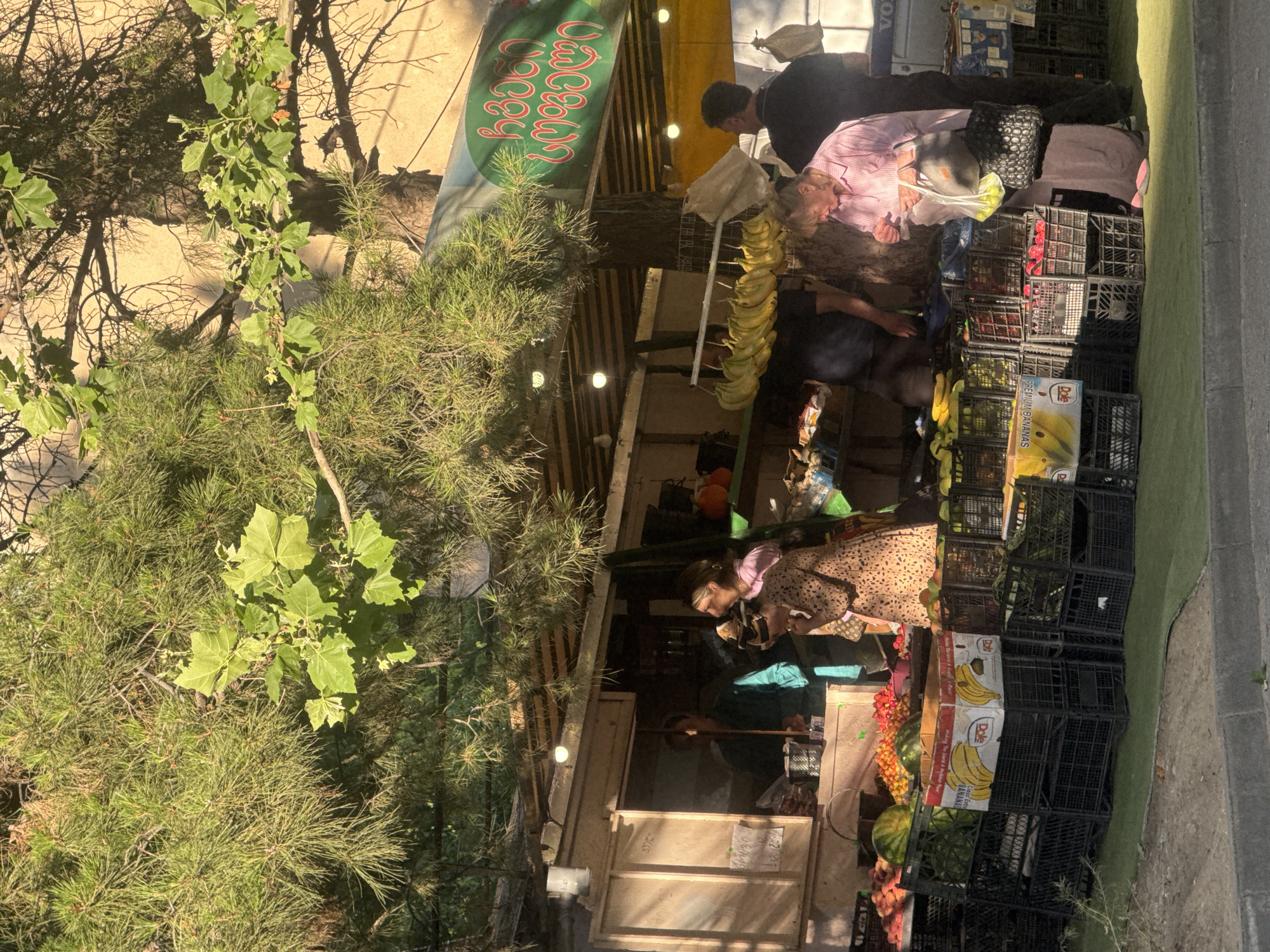 The image depicts an outdoor fruit stand in Tbilisi, Georgia, likely near a residential area given the presence of a tree with pine needles shading part of the scene. The fruit stand features a variety of fruits displayed in black plastic crates, including watermelons, what appear to be peaches, and cherries. Bananas are hanging from a rack above some of the crates, and a box labeled "Dole Premium Bananas" is visible.
Several individuals are present at the stand. A woman in a spotted dress is looking down at something, possibly examining fruit. Another woman in a pink shirt and a long skirt is holding a plastic bag filled with yellow objects, likely fruit, and a black patterned handbag. A man wearing a black t-shirt stands behind her, partially obscured. A person in a green shirt is visible behind the counter of the stand. The stand itself has a canopy covered with a green banner featuring red text in Georgian. The scene is illuminated by natural sunlight, creating shadows. The ground in front of the stand is covered with a green mat.