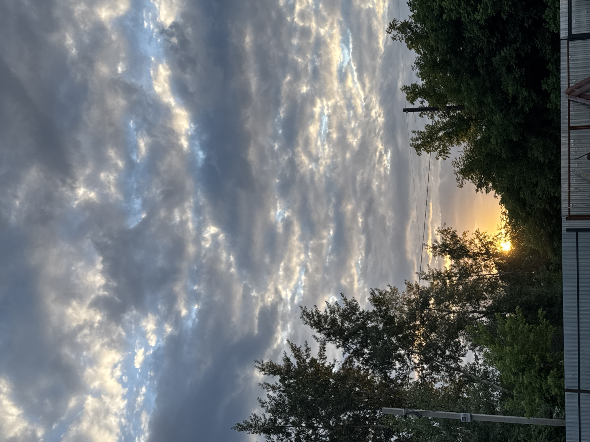 The image captures a sunset scene in Chaikovsky, Russia. The sky is filled with dramatic clouds, with patches of sunlight breaking through, casting a warm glow. Tall trees dominate the foreground, their dark silhouettes contrasting with the illuminated sky. A utilitarian fence runs along the bottom of the frame, suggesting a suburban or semi-rural setting. A wooden pole with what appears to be electrical wires stretches across the upper portion of the image, further indicating a developed area. The overall impression is one of a serene, yet slightly somber, natural landscape at the end of the day.